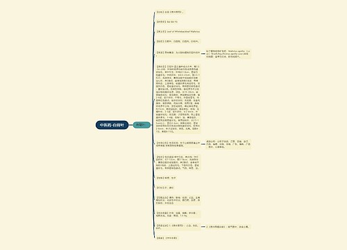 中医药-白背叶