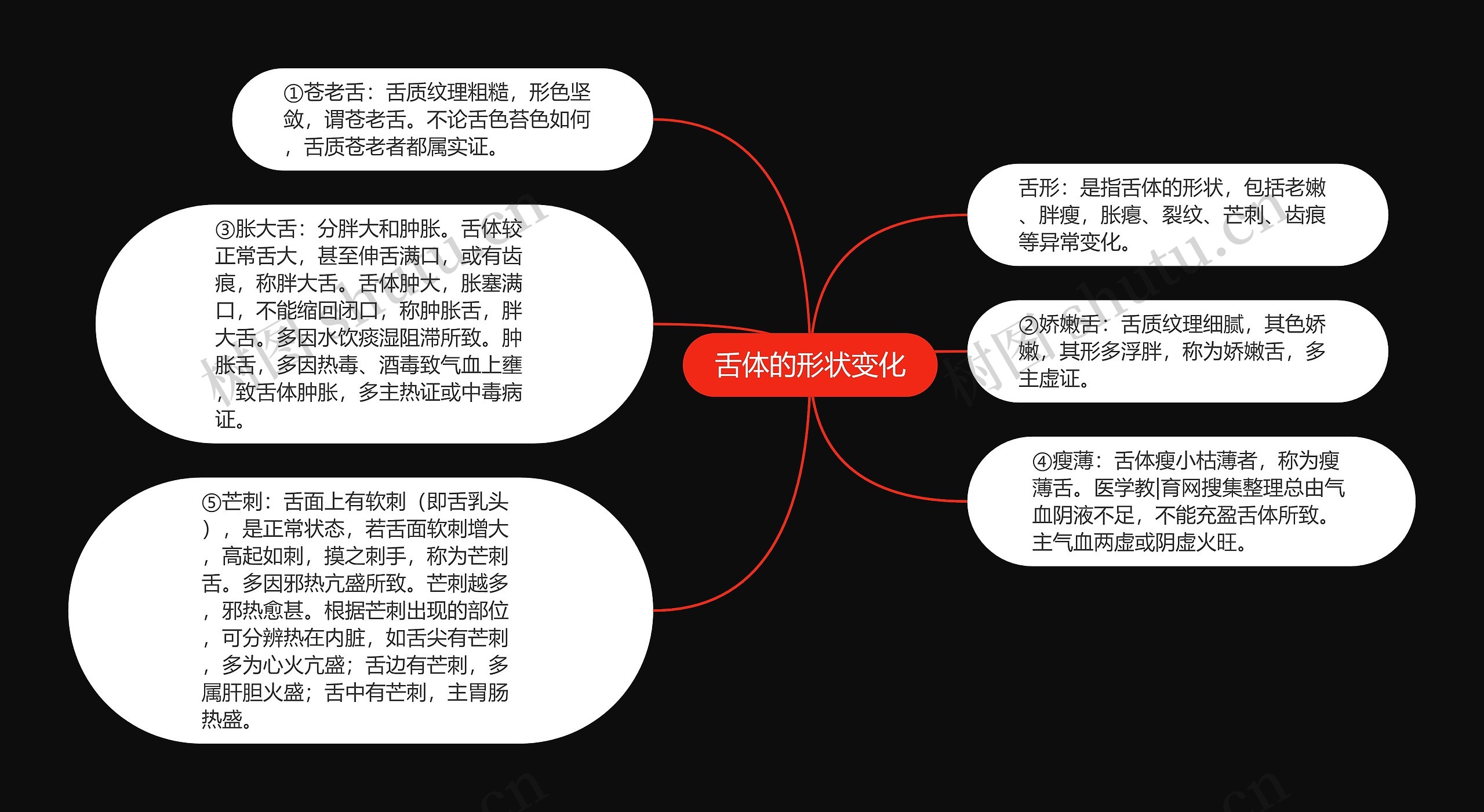 舌体的形状变化 舌体的形状变化