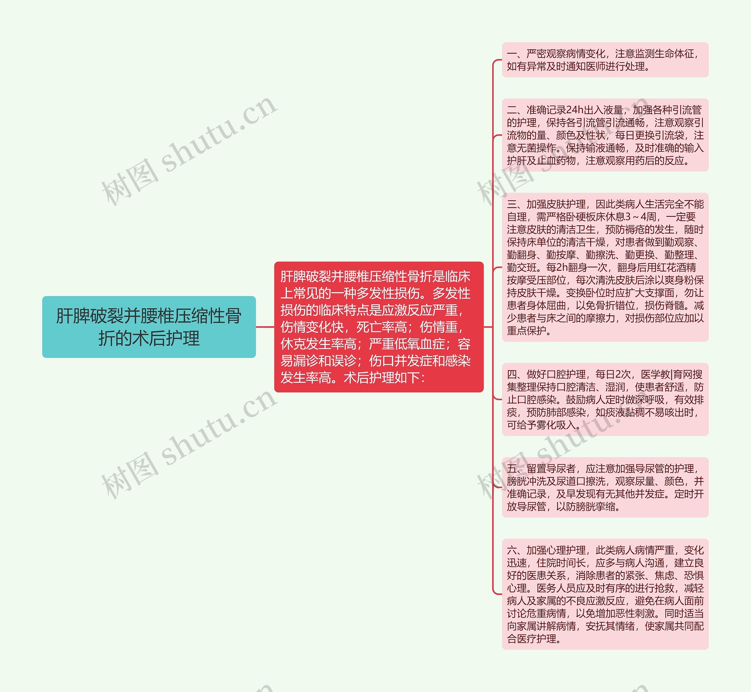 肝脾破裂并腰椎压缩性骨折的术后护理思维导图