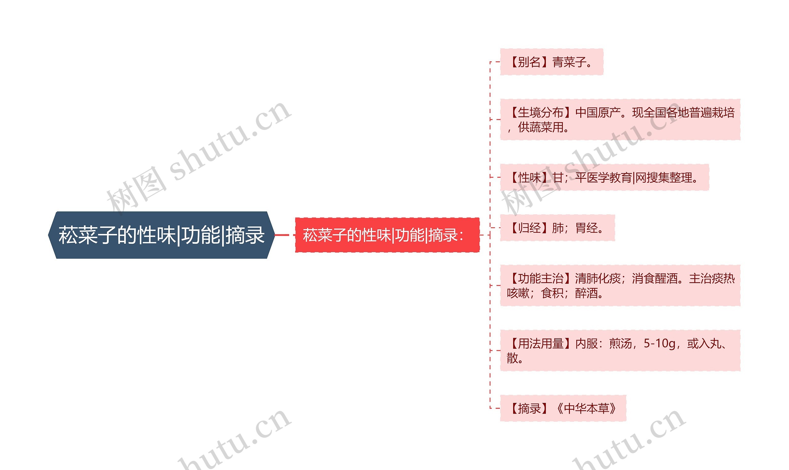 菘菜子的性味|功能|摘录思维导图