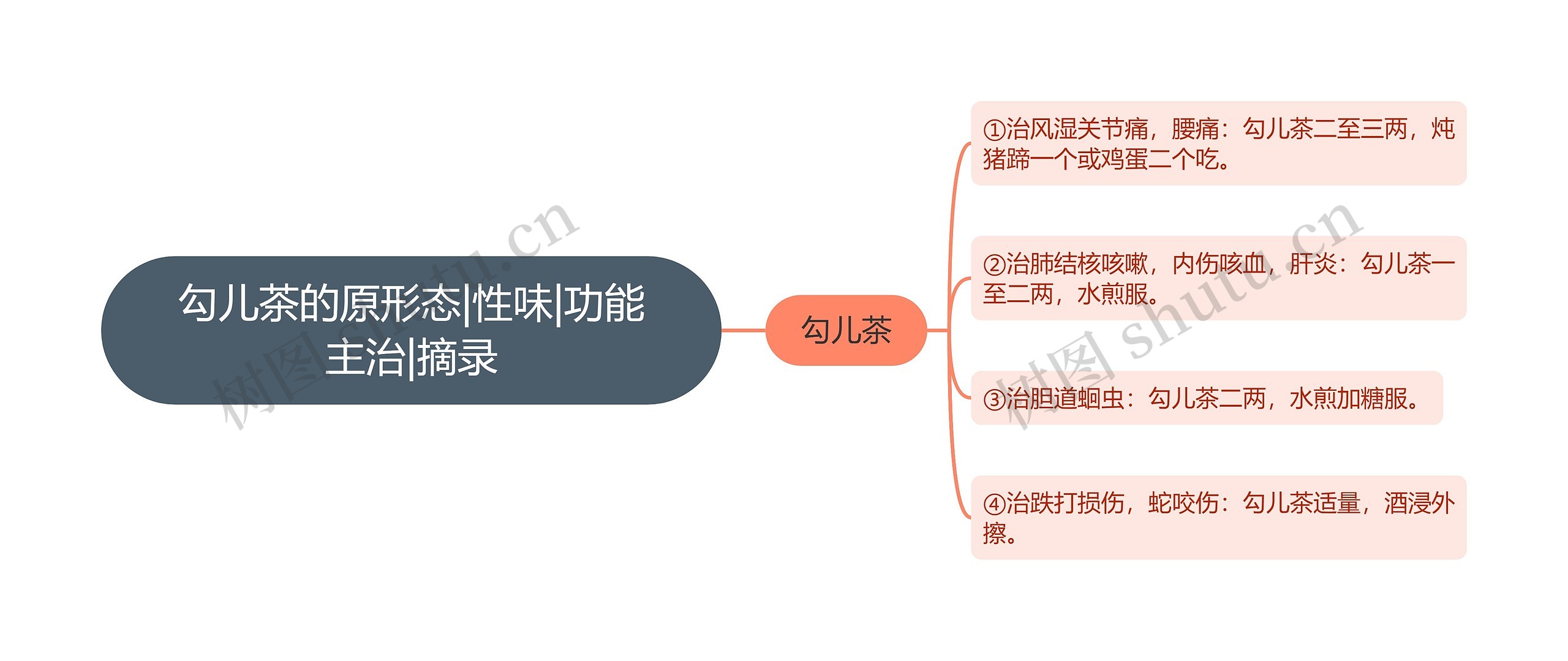 勾儿茶的原形态|性味|功能主治|摘录思维导图