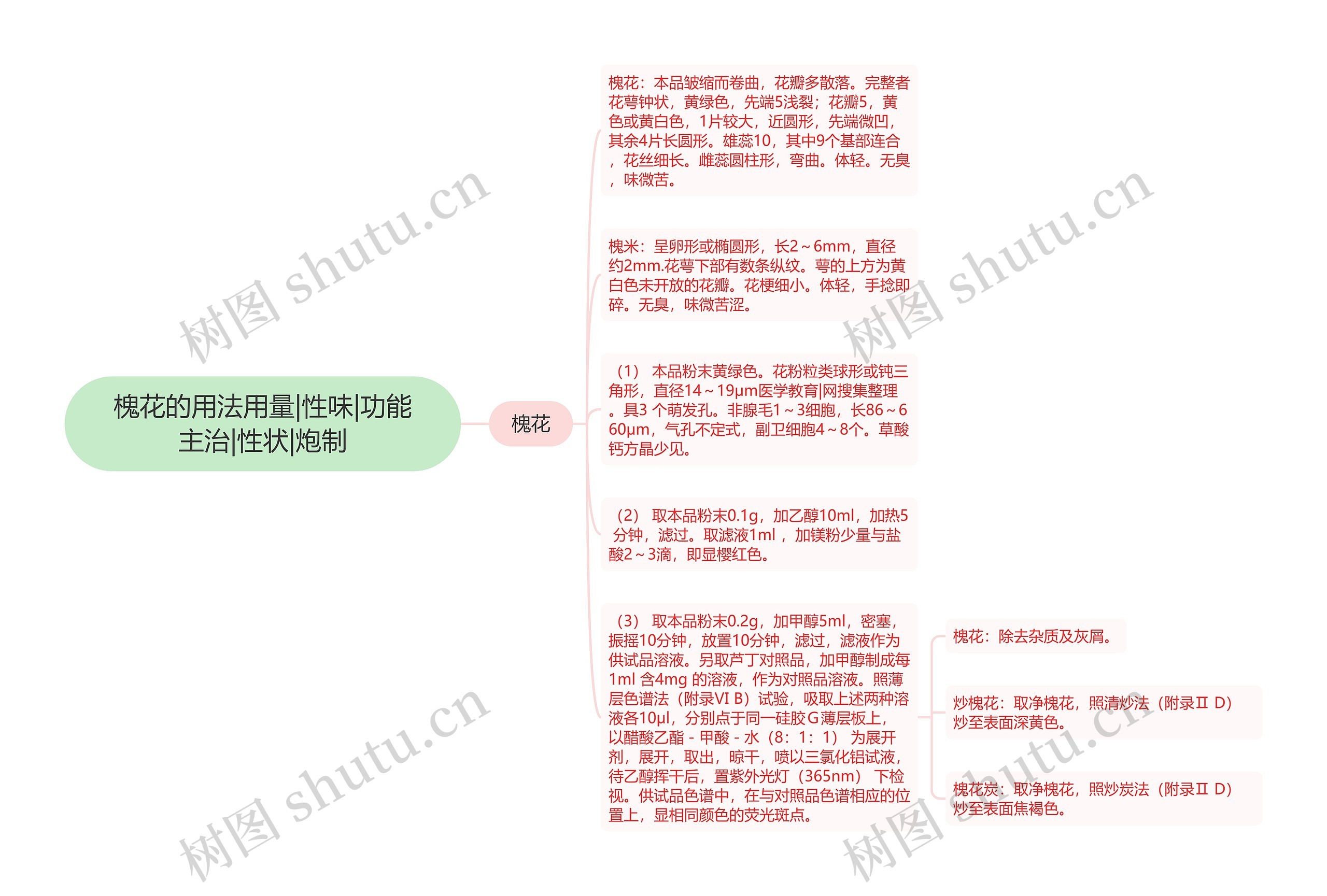 槐花的用法用量|性味|功能主治|性状|炮制