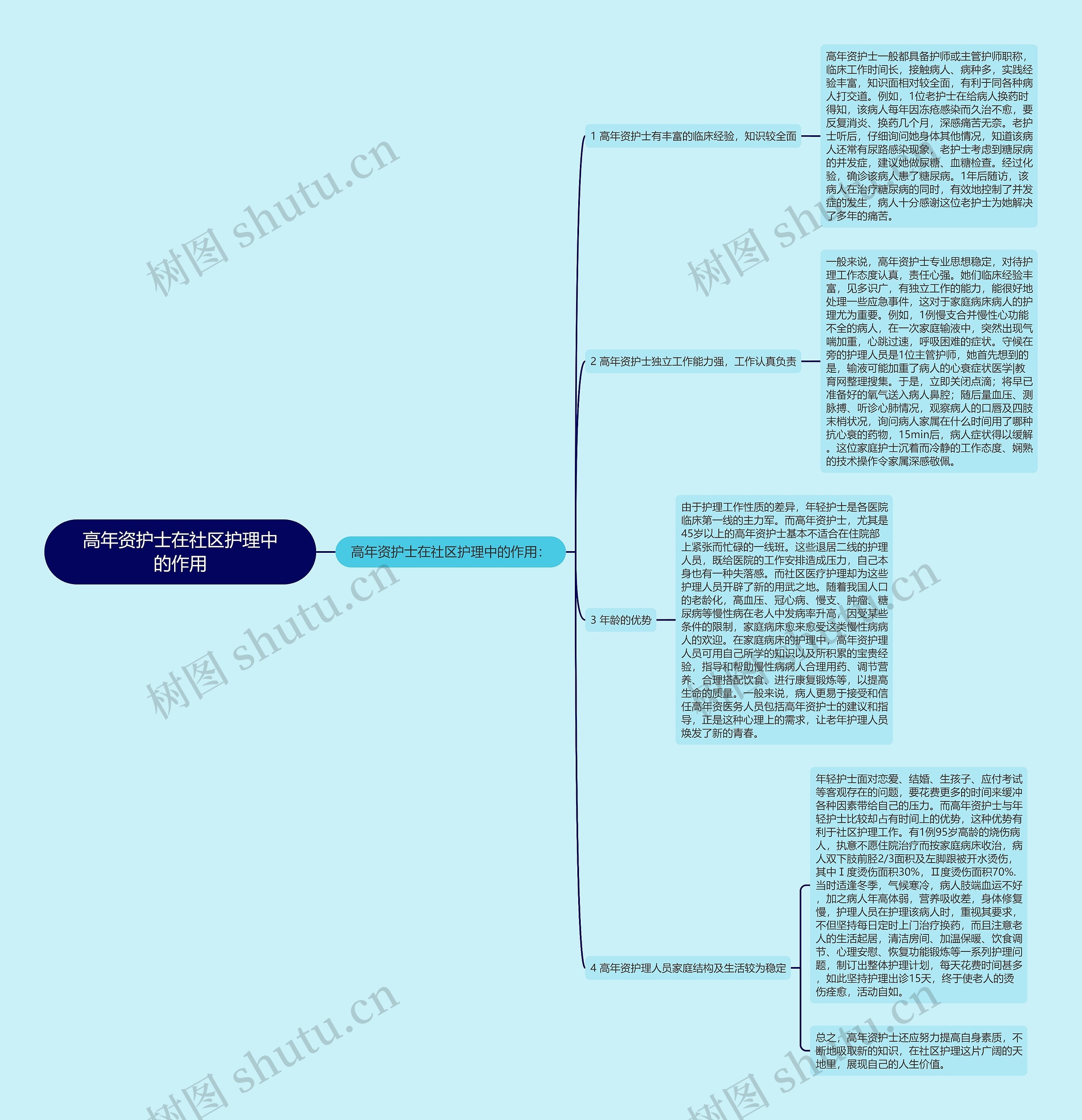 高年资护士在社区护理中的作用思维导图