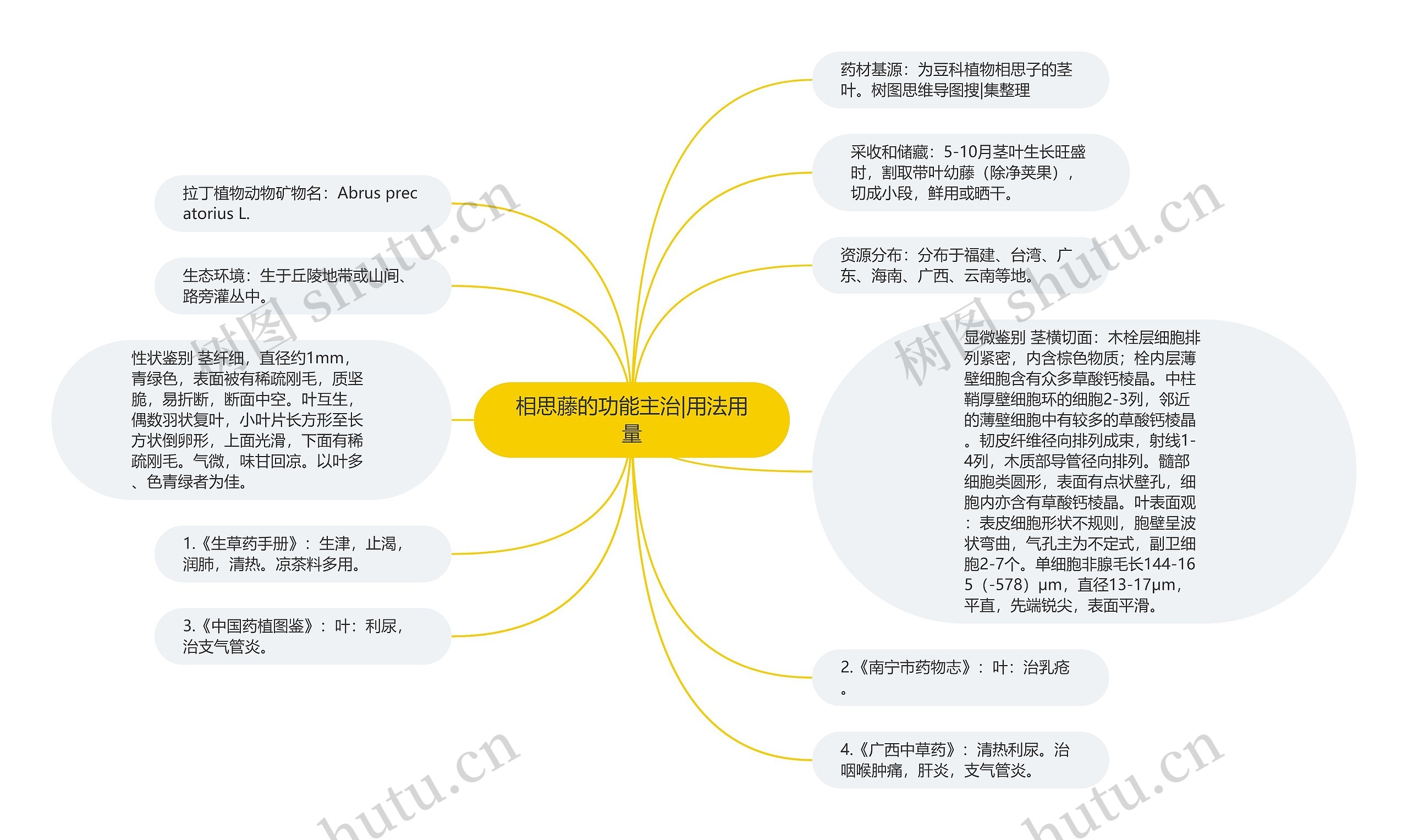 相思藤的功能主治|用法用量思维导图