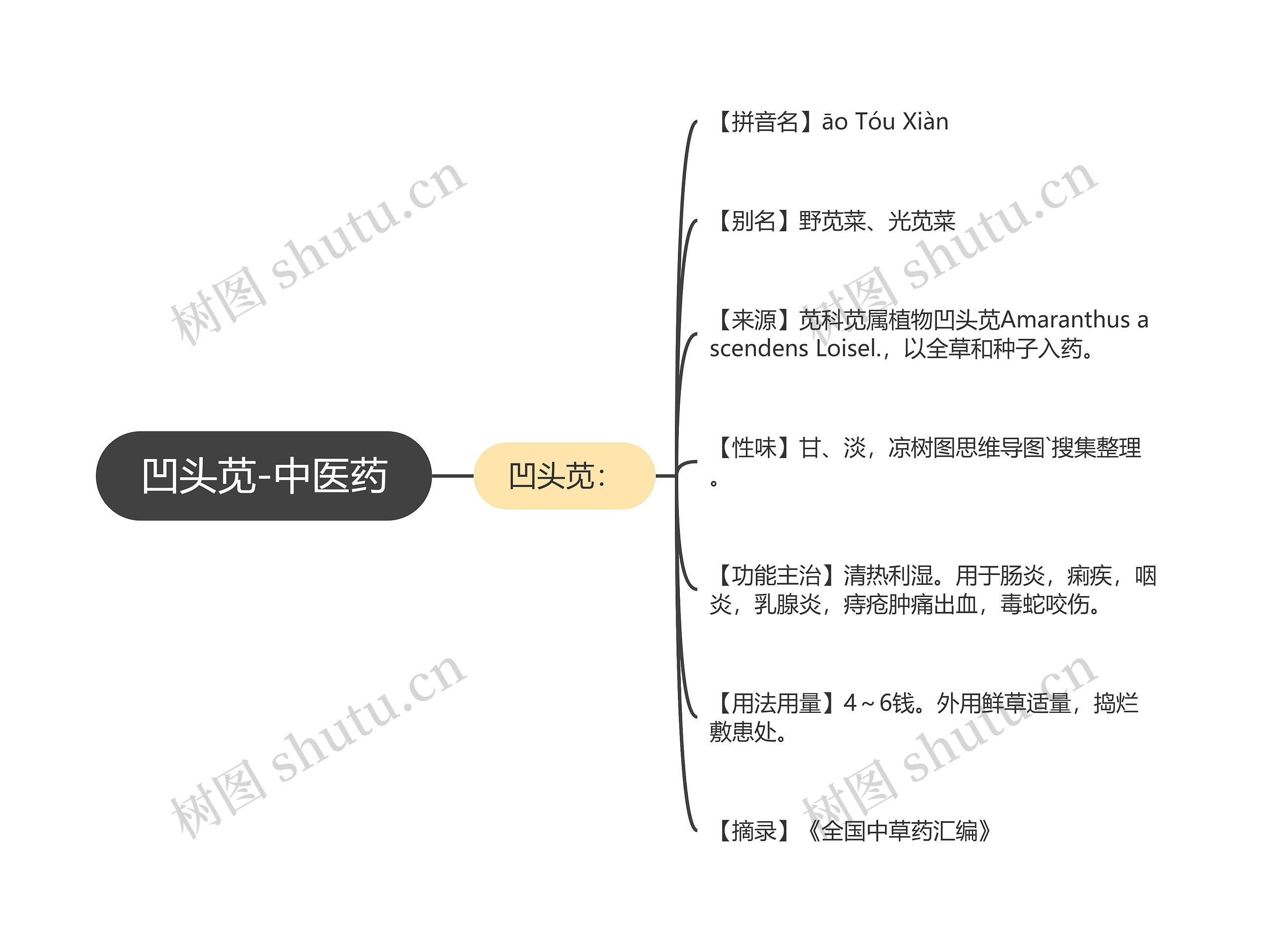 凹头苋-中医药 凹头苋-中医药