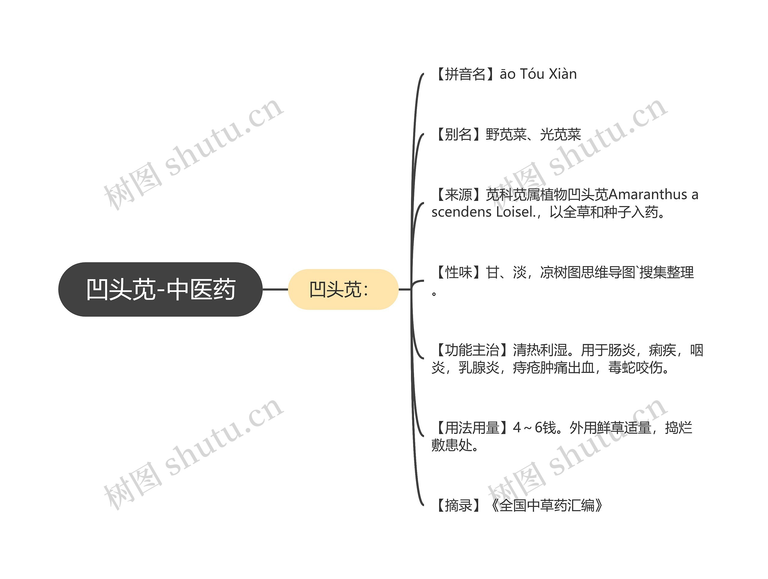 凹头苋-中医药思维导图