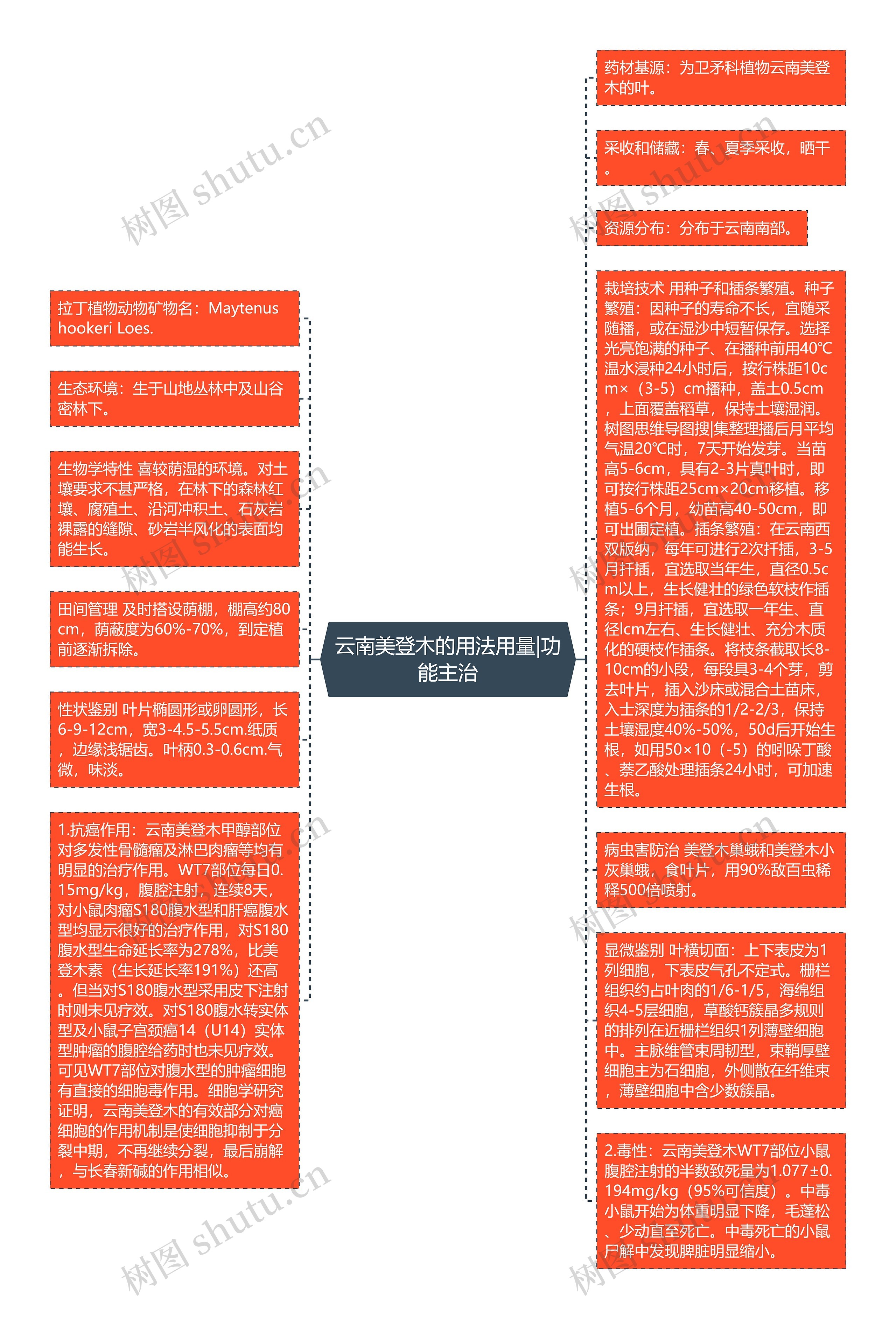 云南美登木的用法用量|功能主治