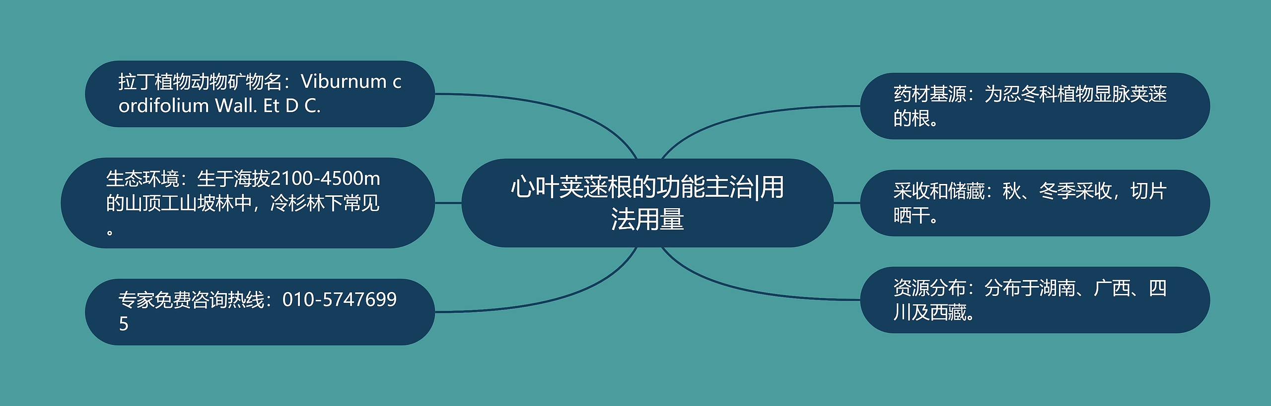 心叶荚蒾根的功能主治|用法用量 心叶荚蒾根的功能主治|用法用量