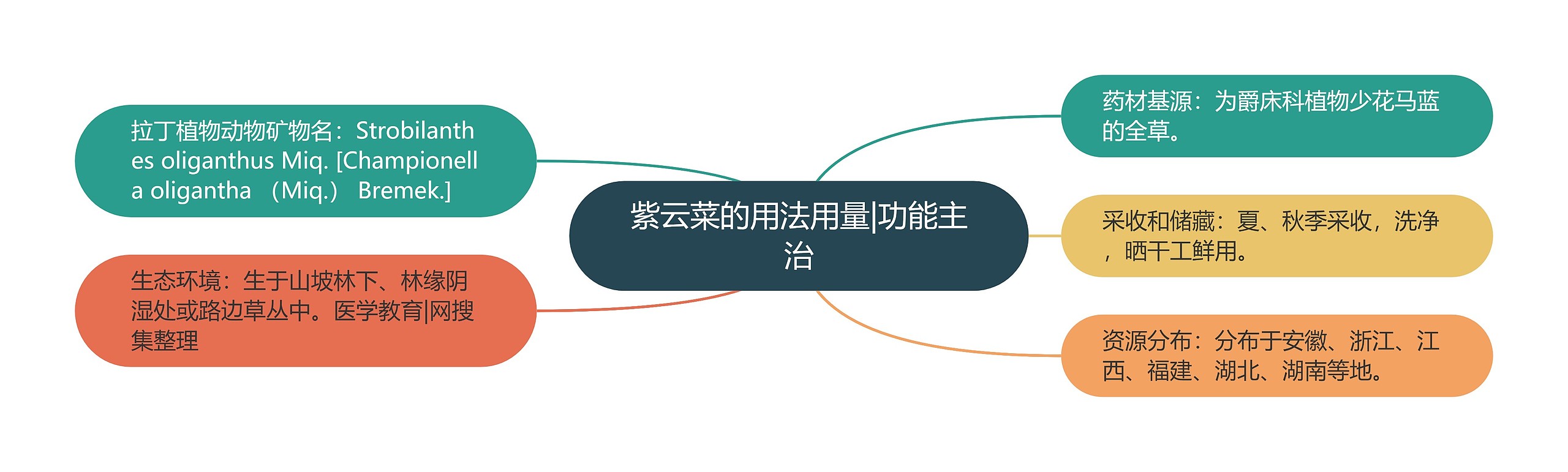 紫云菜的用法用量|功能主治 紫云菜的用法用量|功能主治