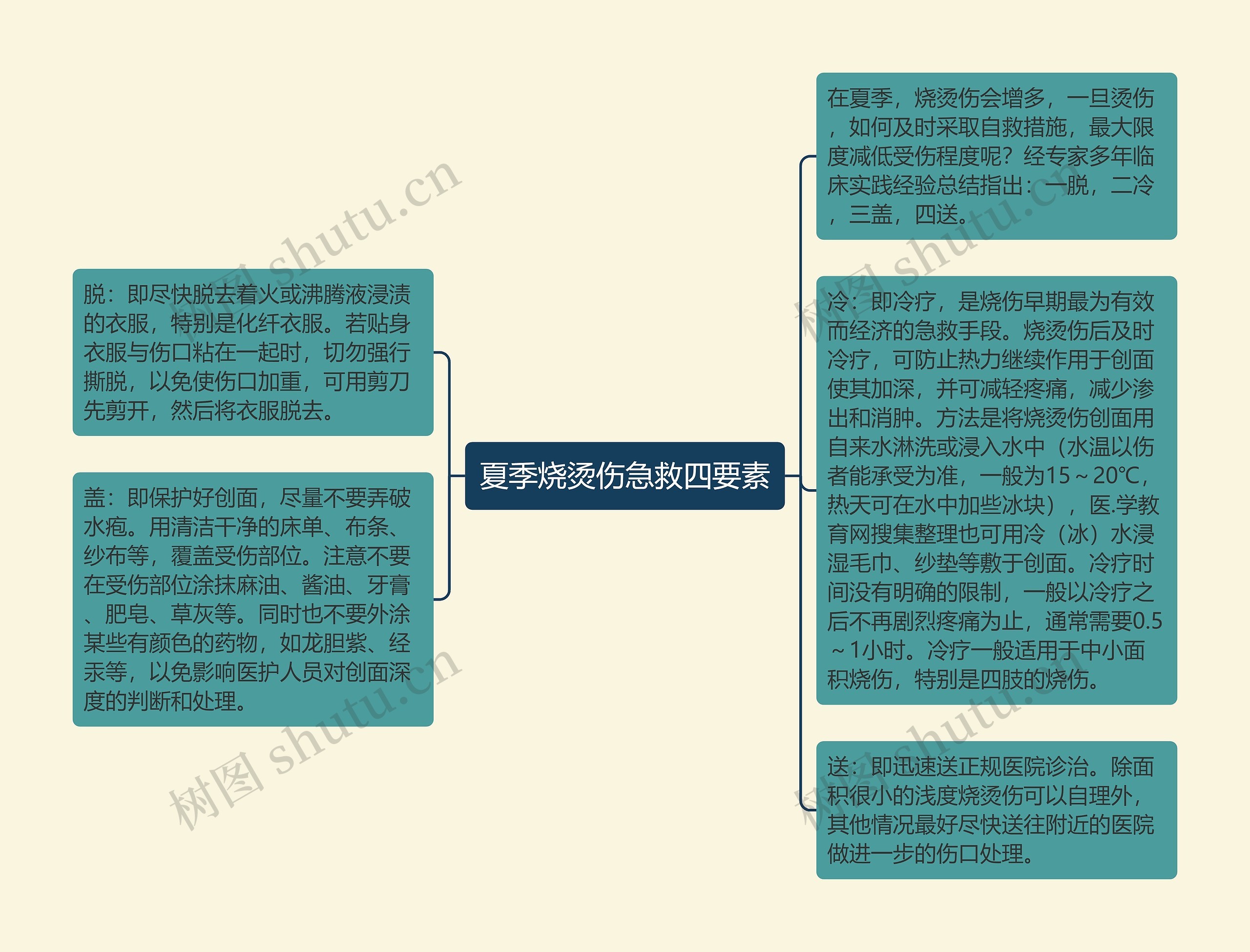 夏季烧烫伤急救四要素思维导图