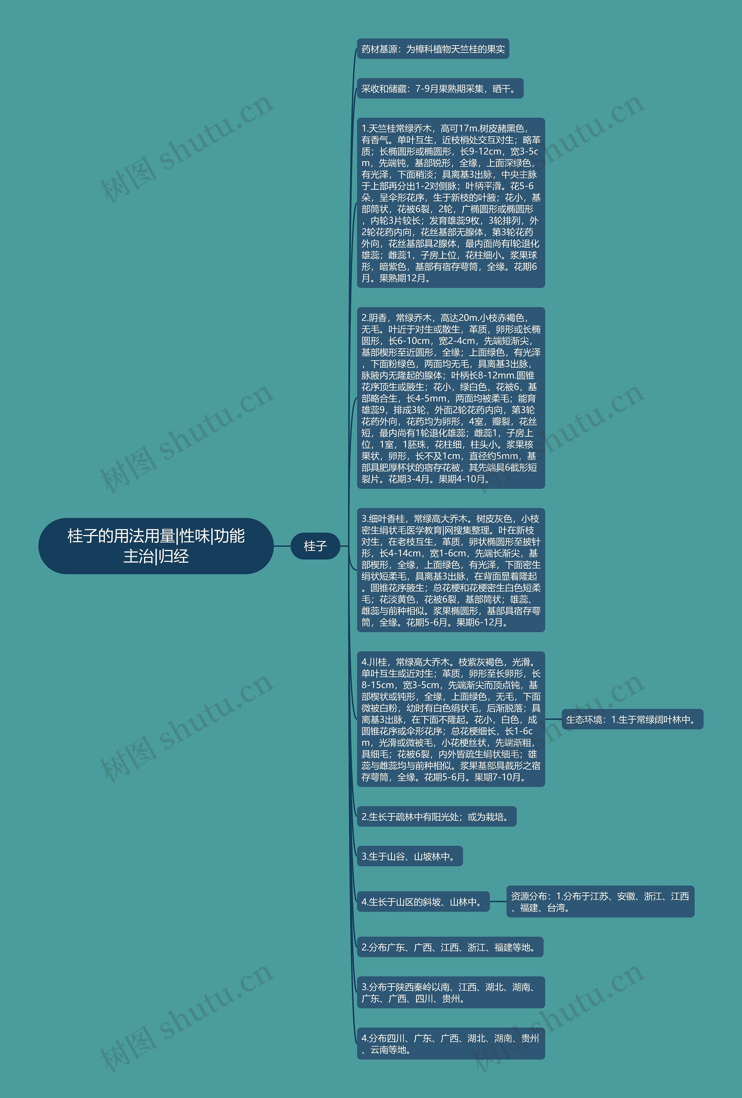 桂子的用法用量|性味|功能主治|归经思维导图