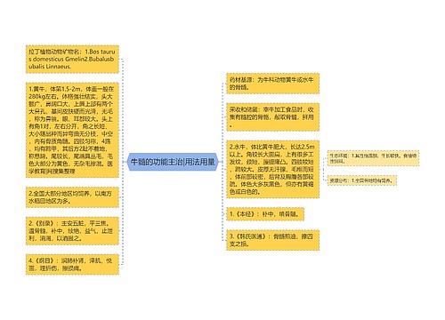 牛髓的功能主治|用法用量