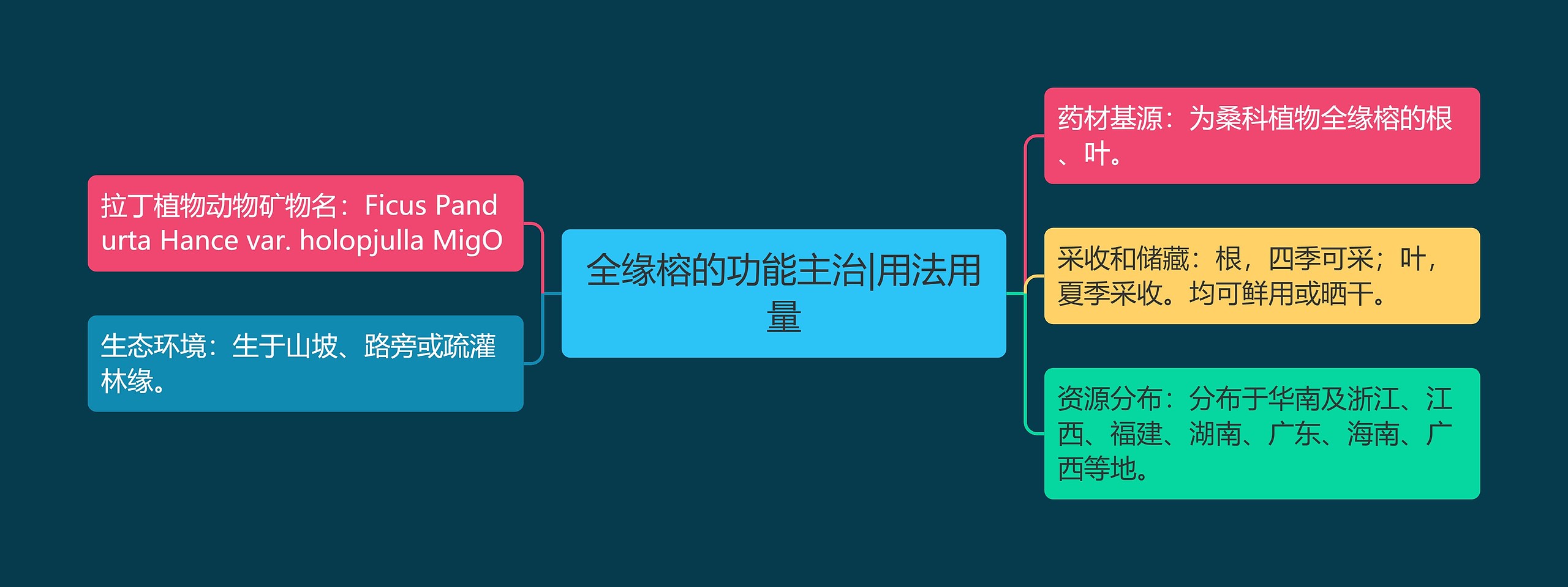 全缘榕的功能主治|用法用量思维导图