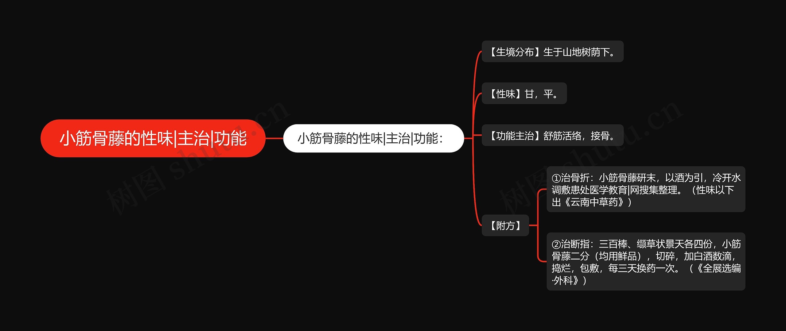 小筋骨藤的性味|主治|功能思维导图