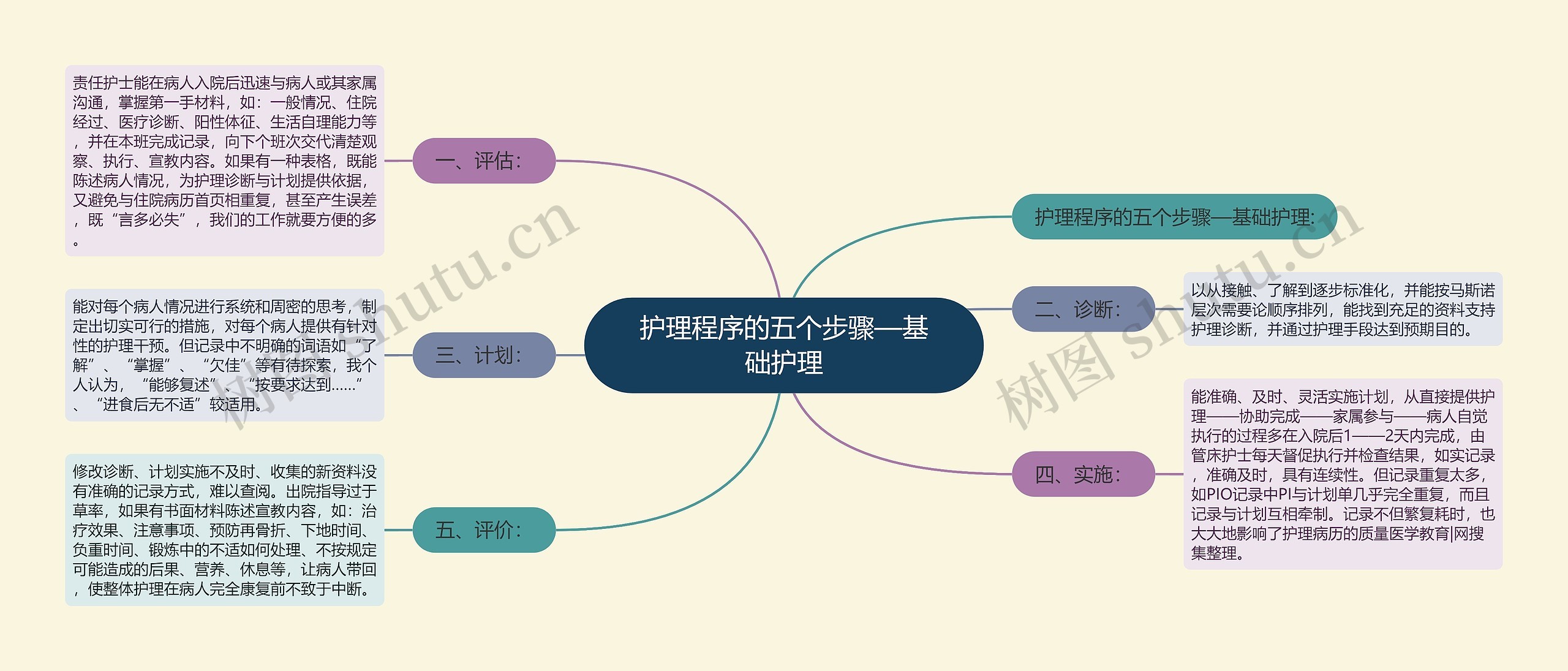 护理程序的五个步骤—基础护理