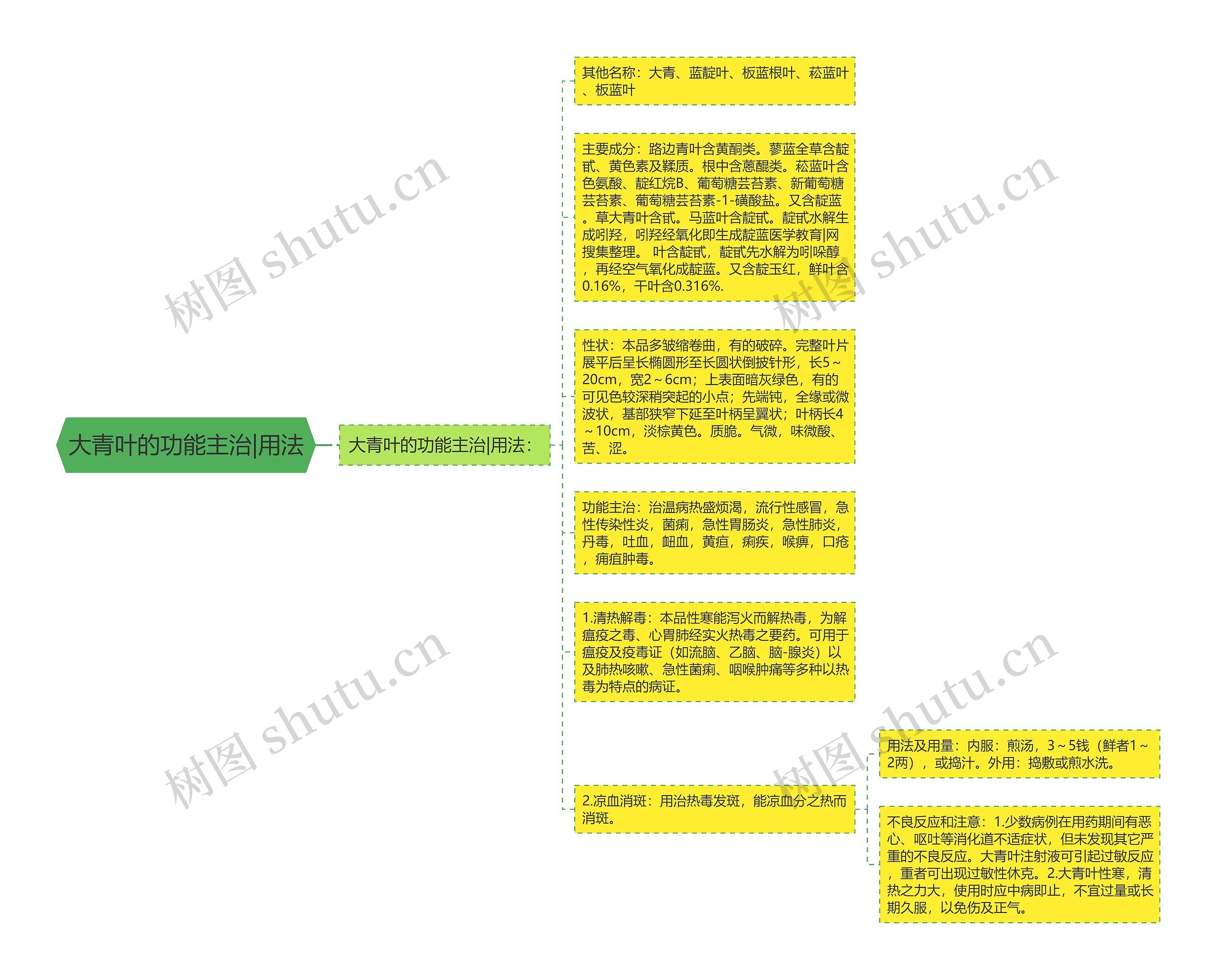 大青叶的功能主治|用法思维导图