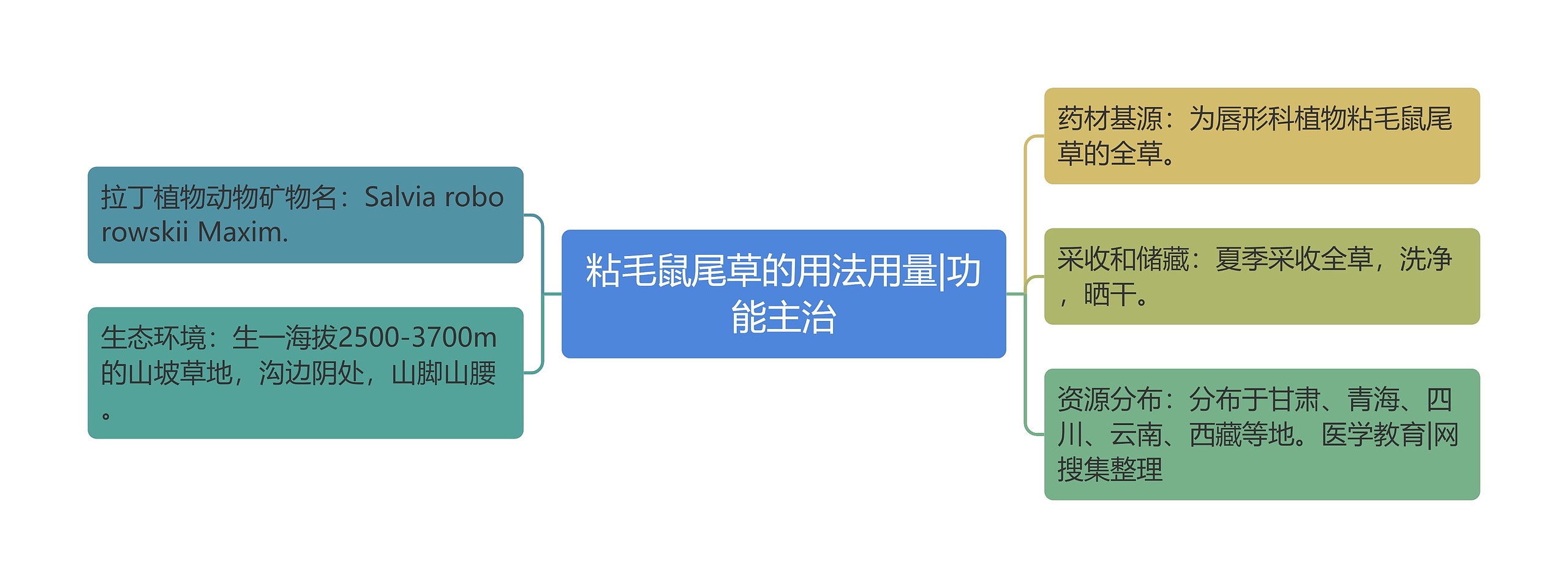 粘毛鼠尾草的用法用量|功能主治