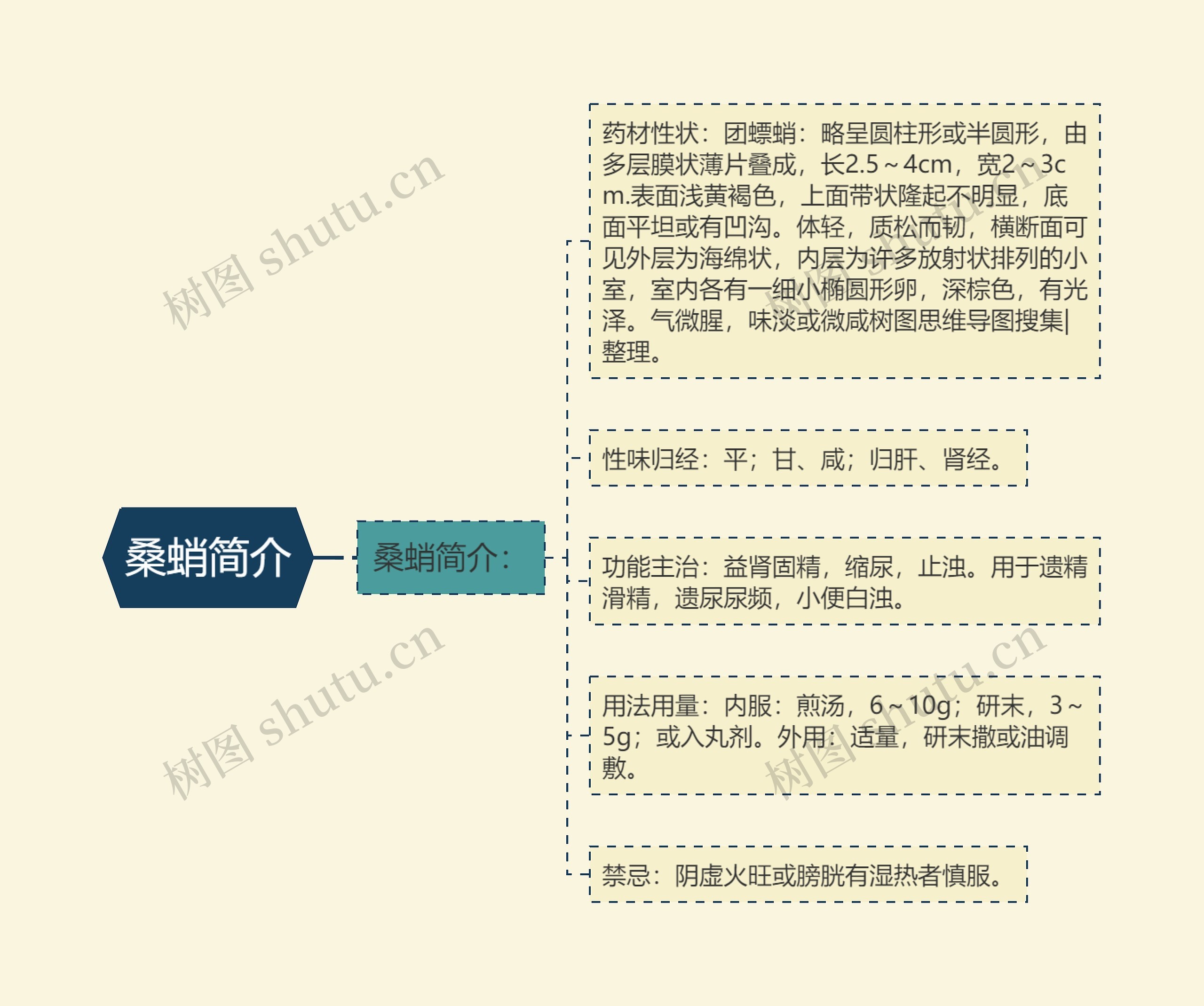 桑蛸简介