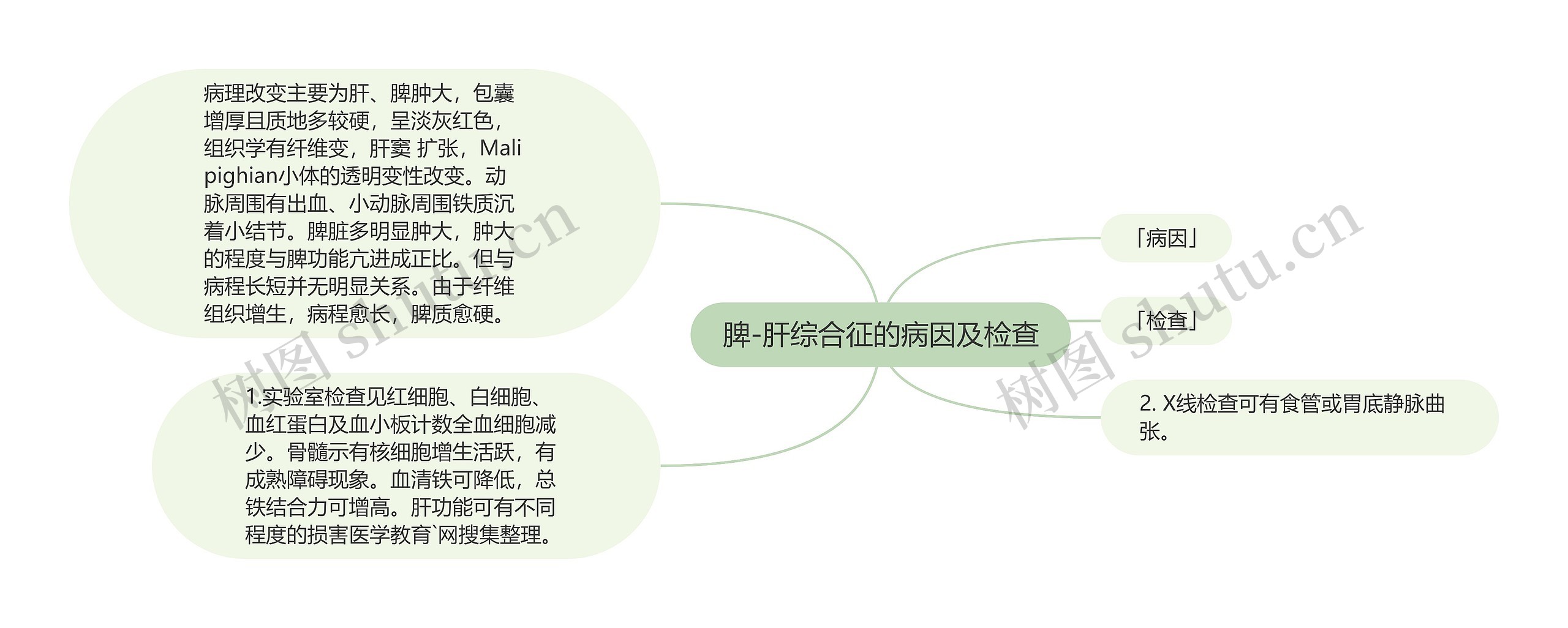 脾-肝综合征的病因及检查思维导图