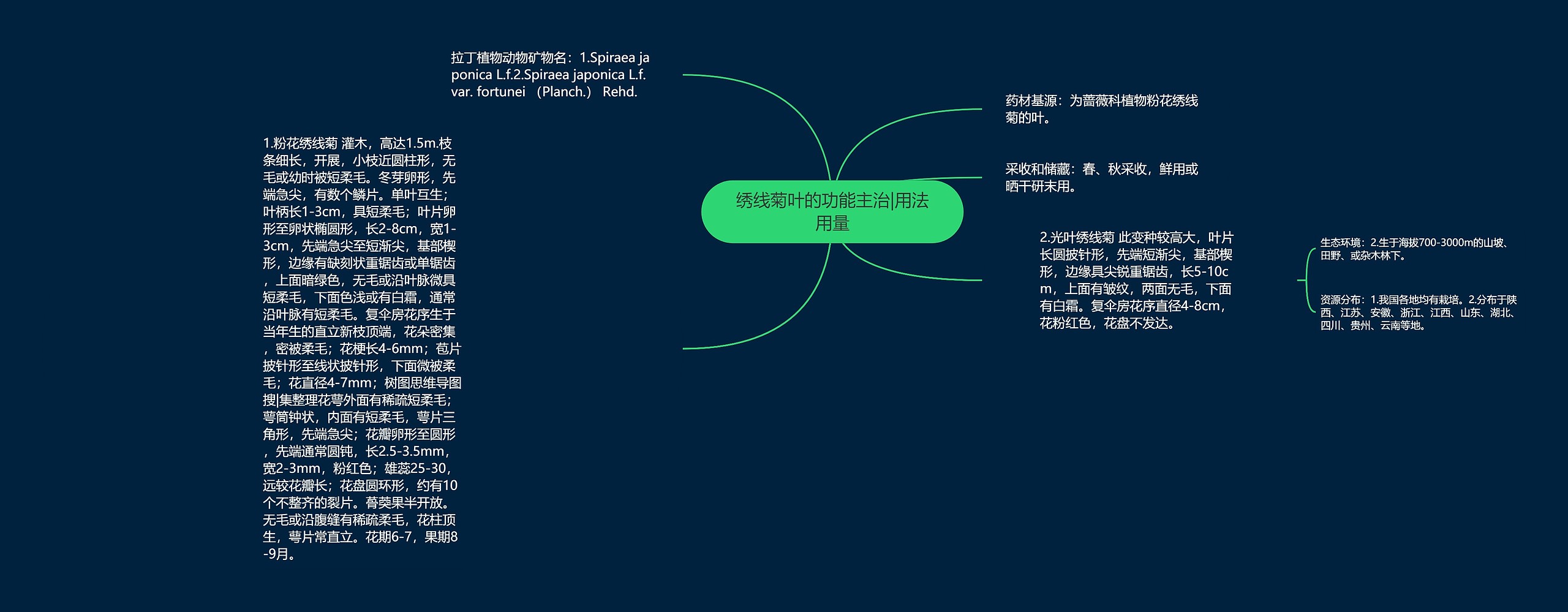 绣线菊叶的功能主治|用法用量