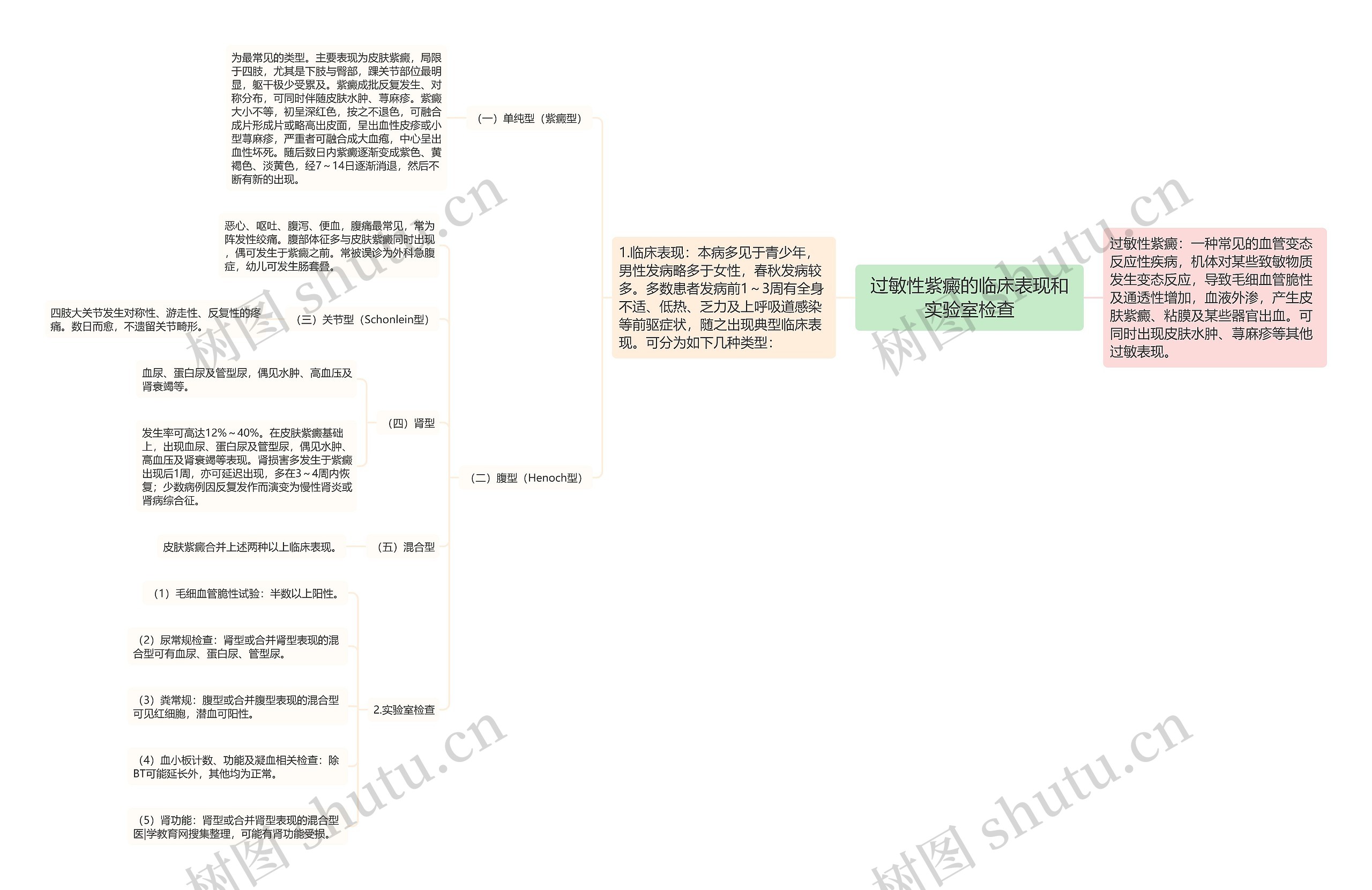 过敏性紫癜的临床表现和实验室检查