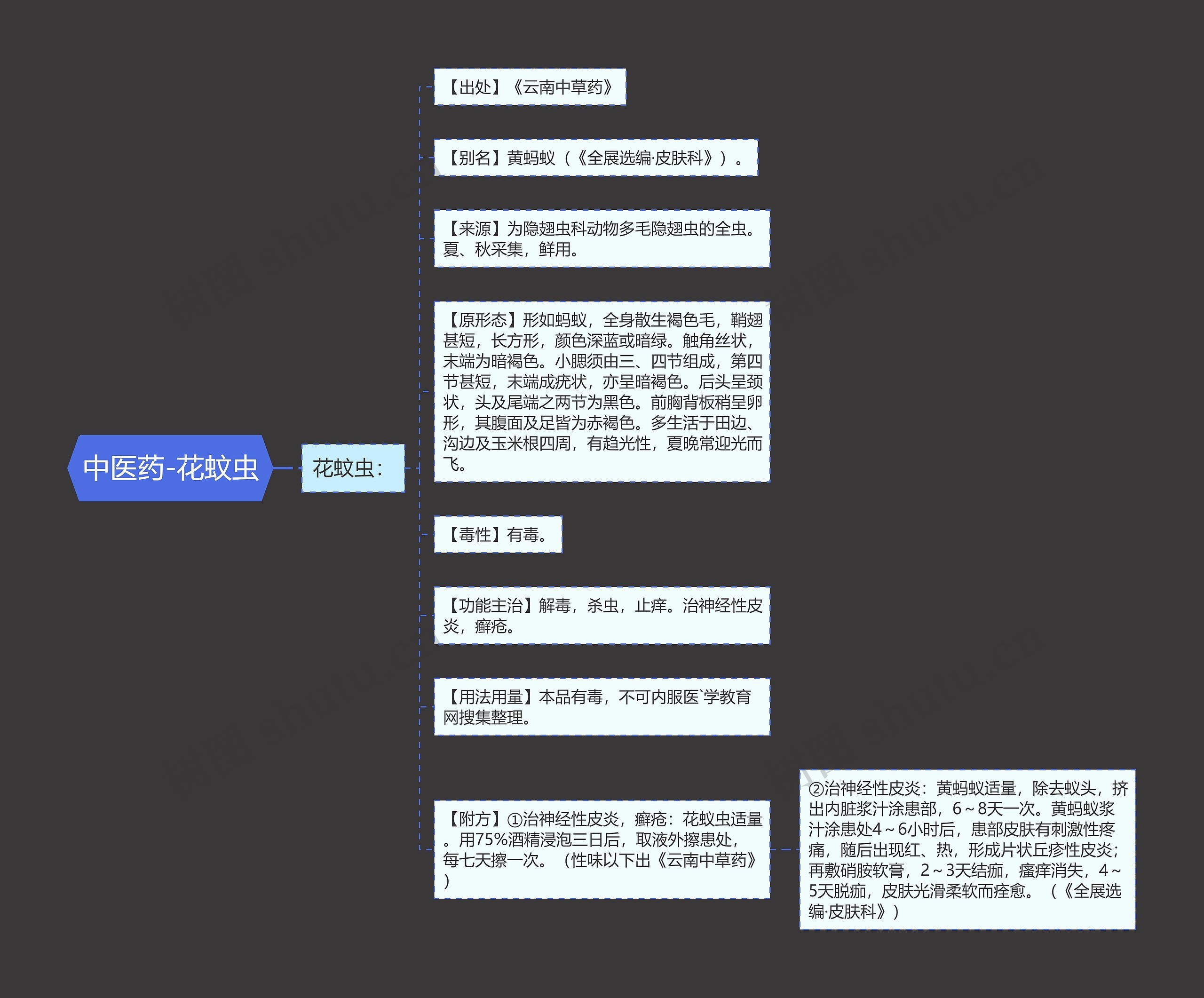 中医药-花蚊虫 中医药-花蚊虫