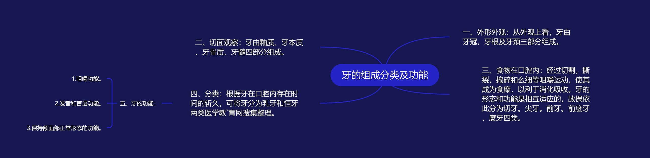 牙的组成分类及功能 牙的组成分类及功能