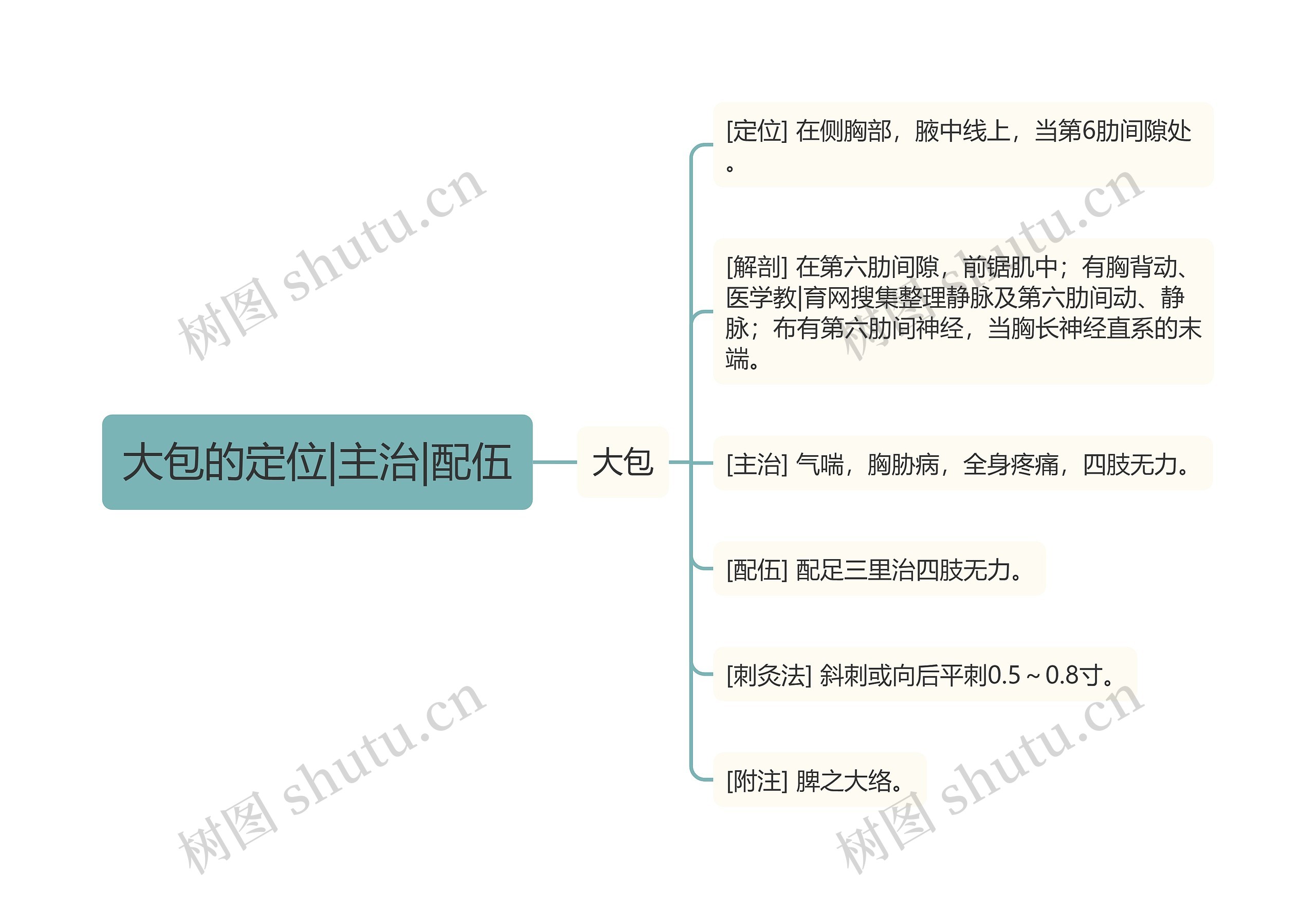 大包的定位|主治|配伍思维导图