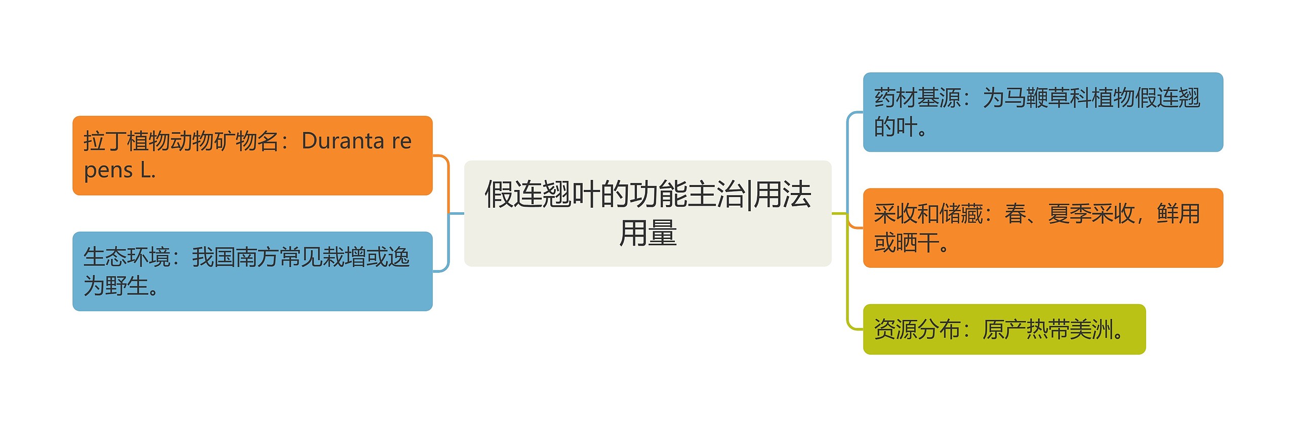 假连翘叶的功能主治|用法用量