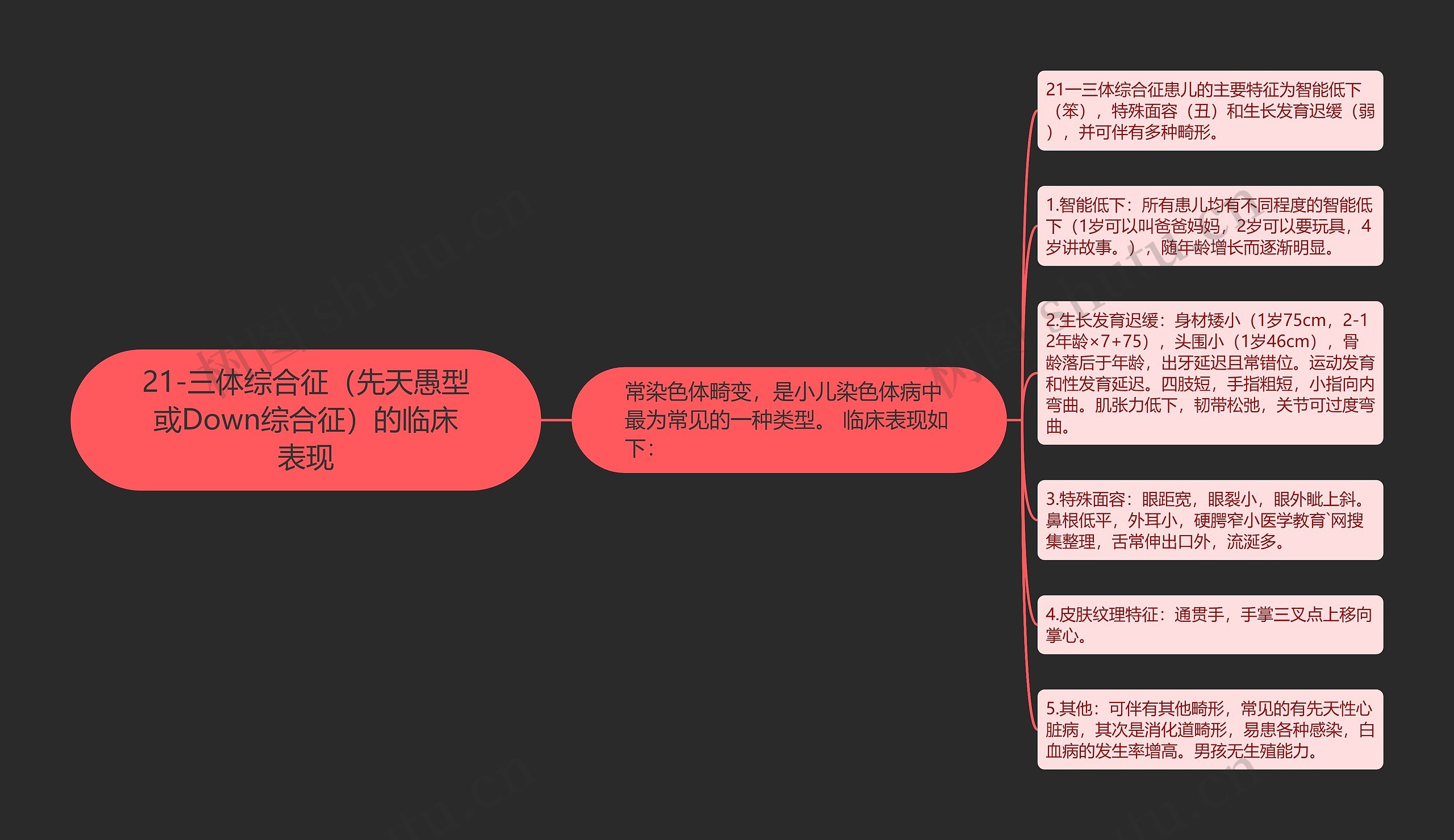 21-三体综合征（先天愚型或Down综合征）的临床表现