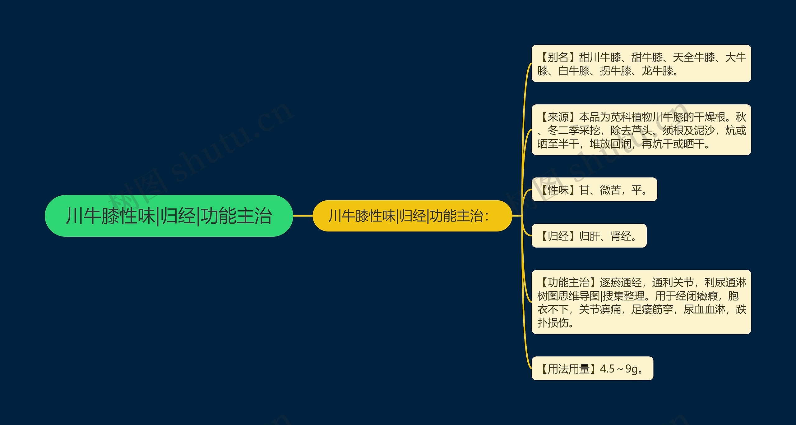 川牛膝性味|归经|功能主治思维导图
