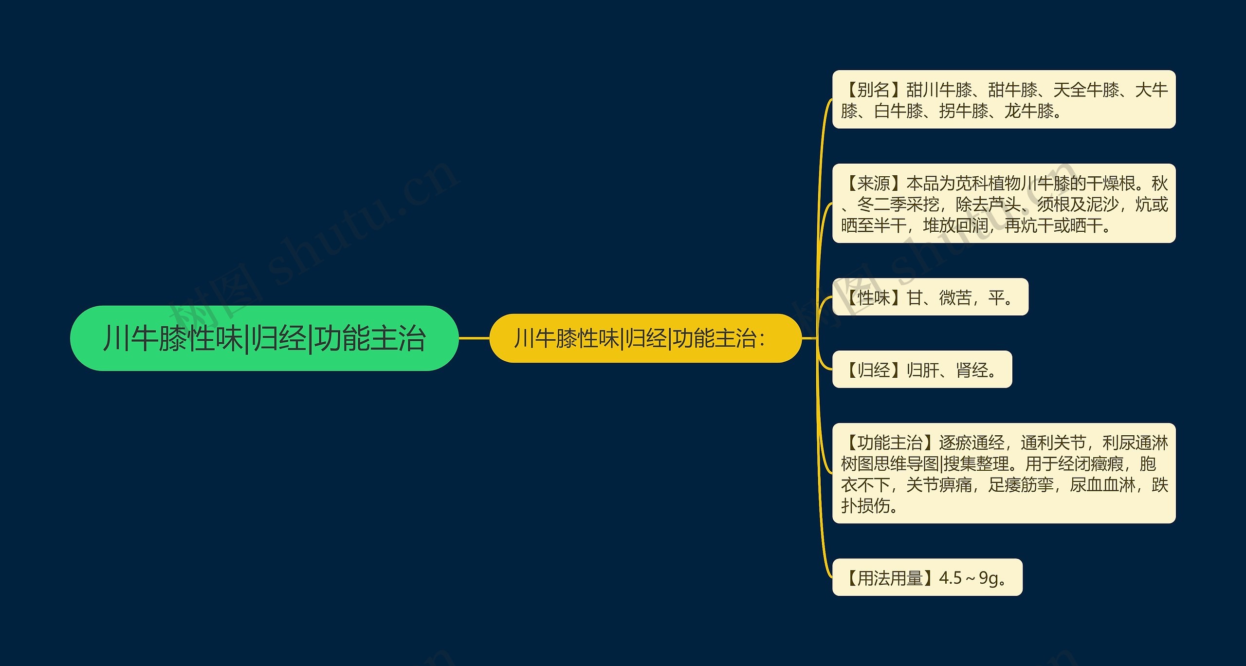 川牛膝性味|归经|功能主治 川牛膝性味|归经|功能主治