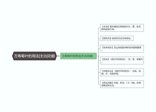 万寿菊叶的用法|主治|功能