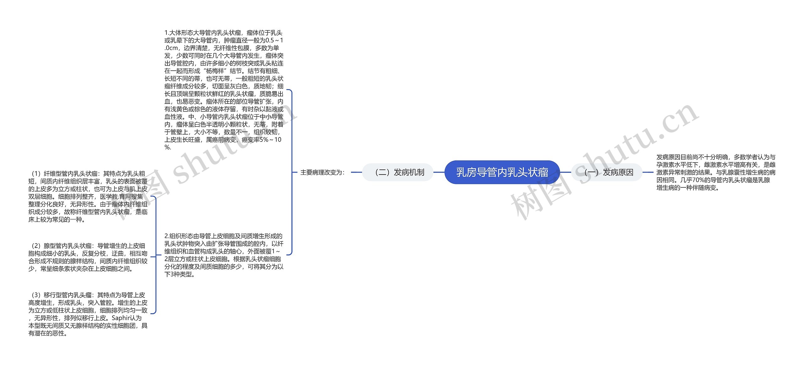 乳房导管内乳头状瘤思维导图