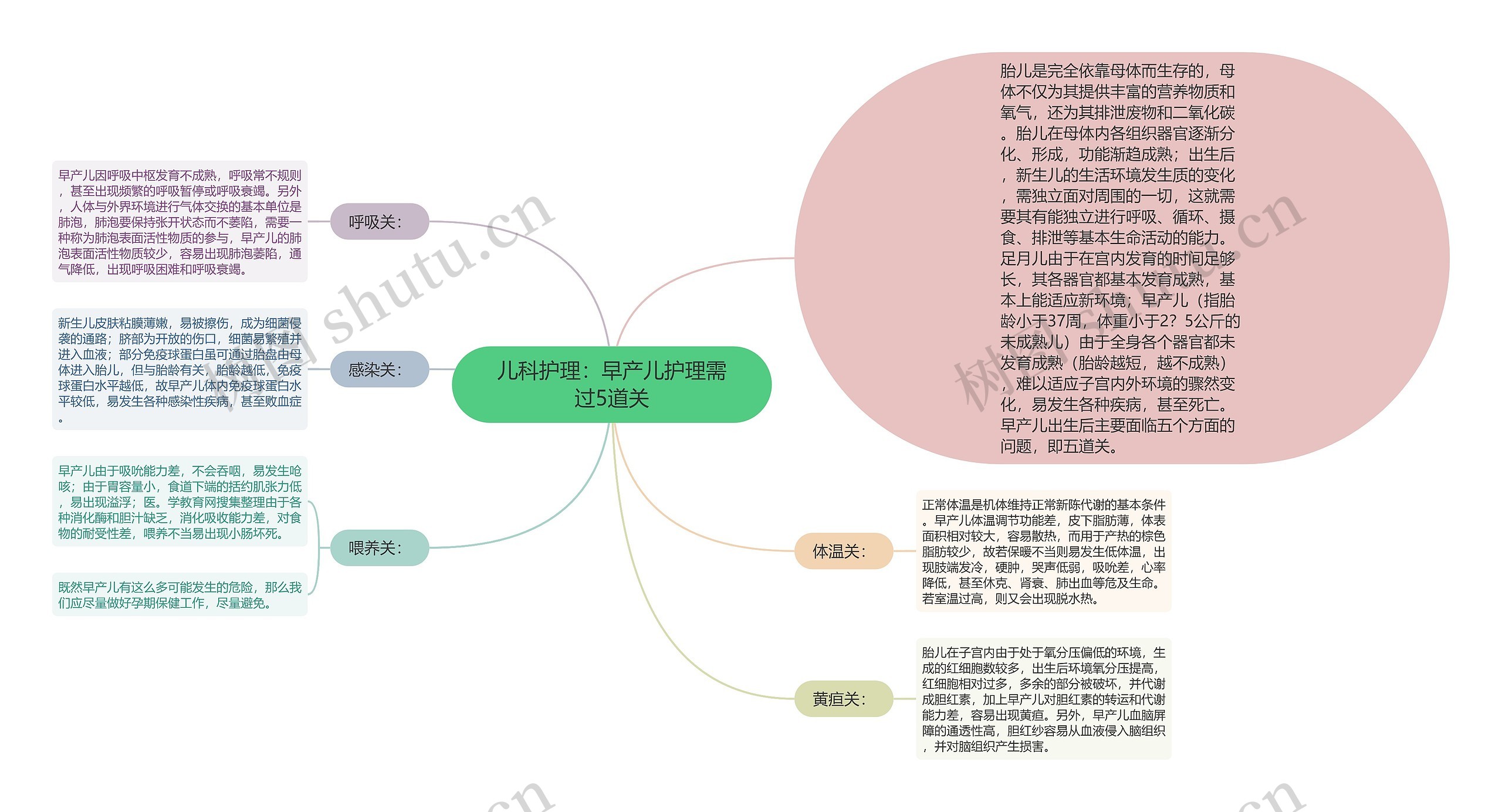 儿科护理：早产儿护理需过5道关思维导图