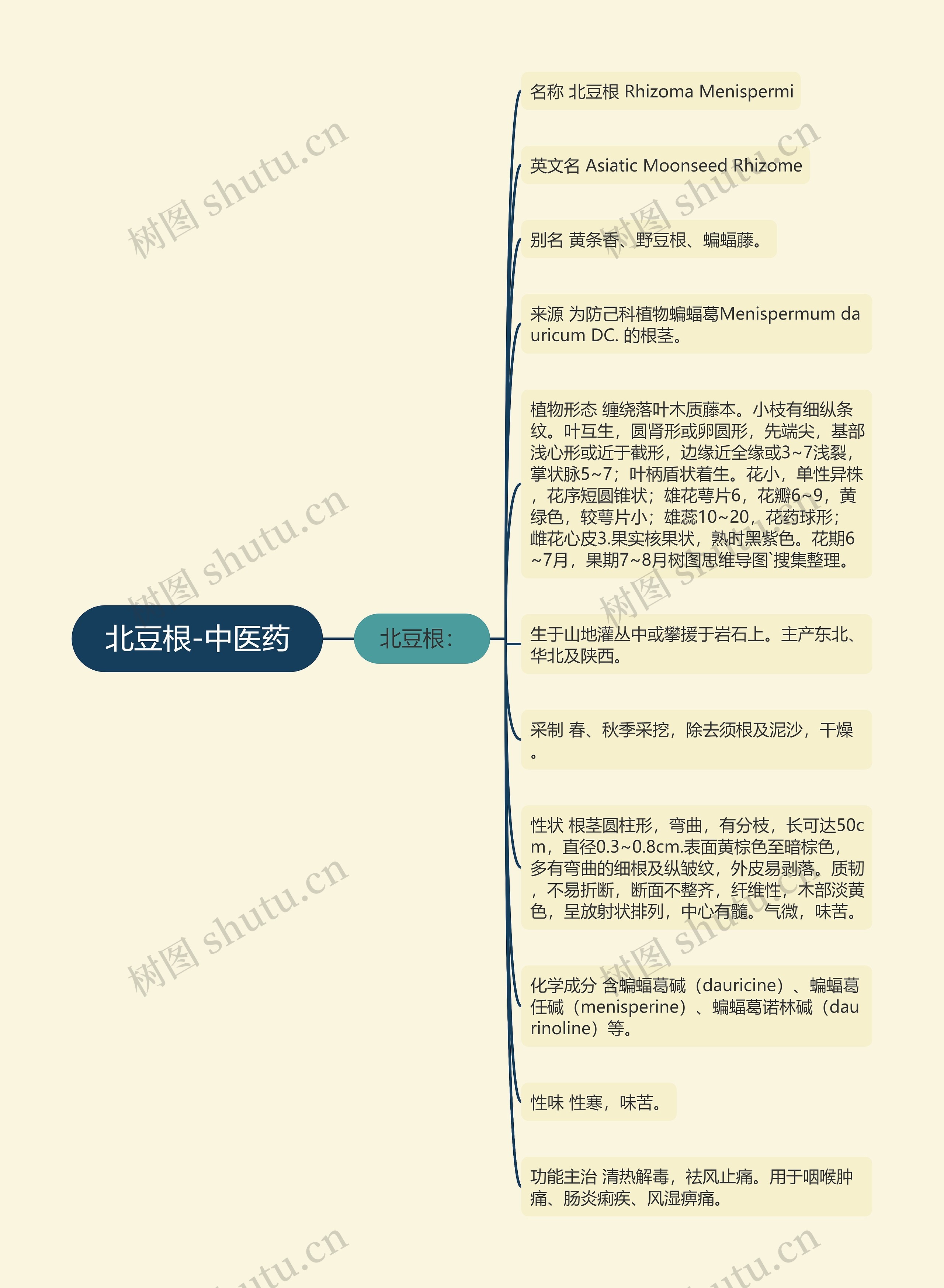 北豆根-中医药思维导图