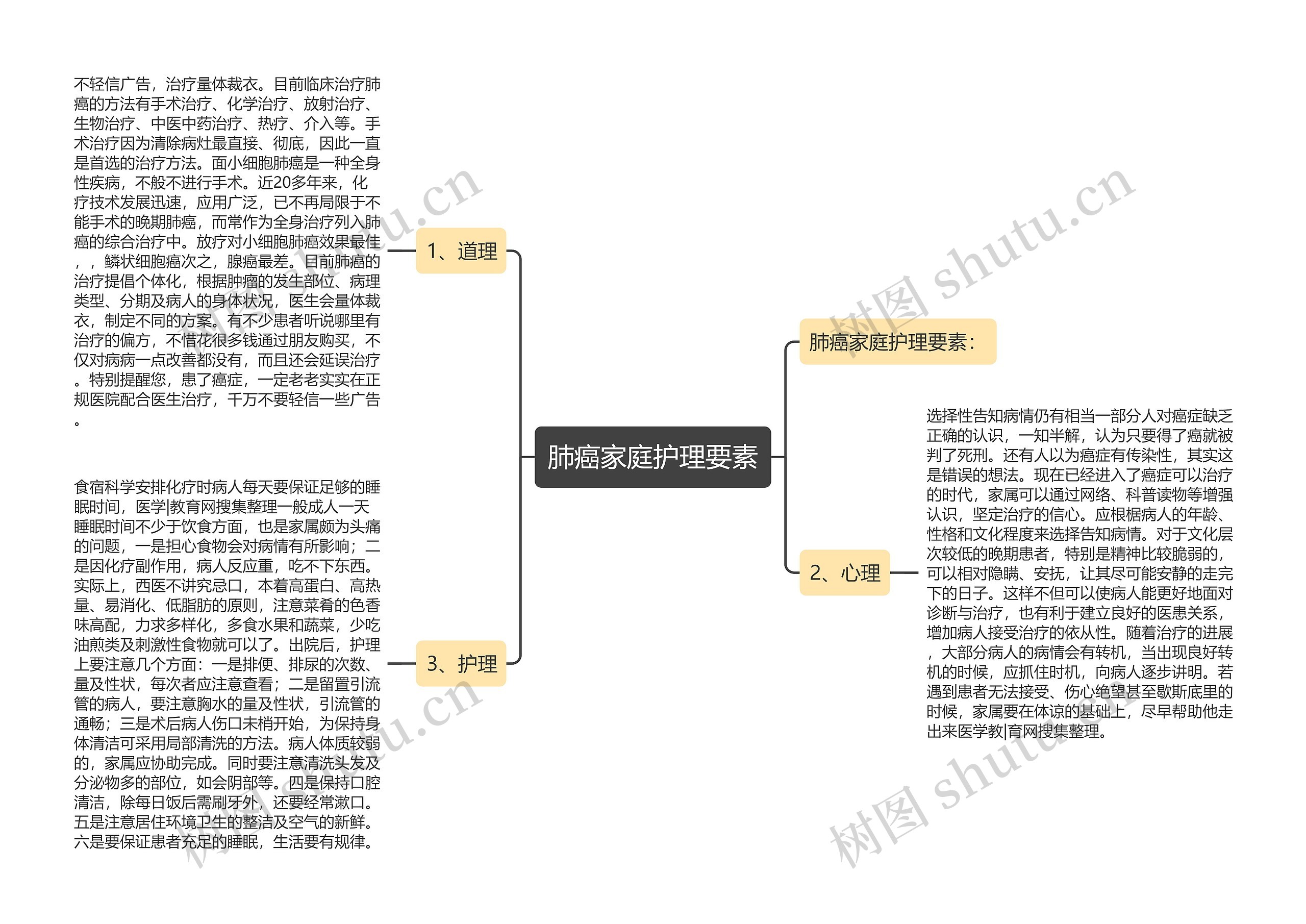 肺癌家庭护理要素思维导图