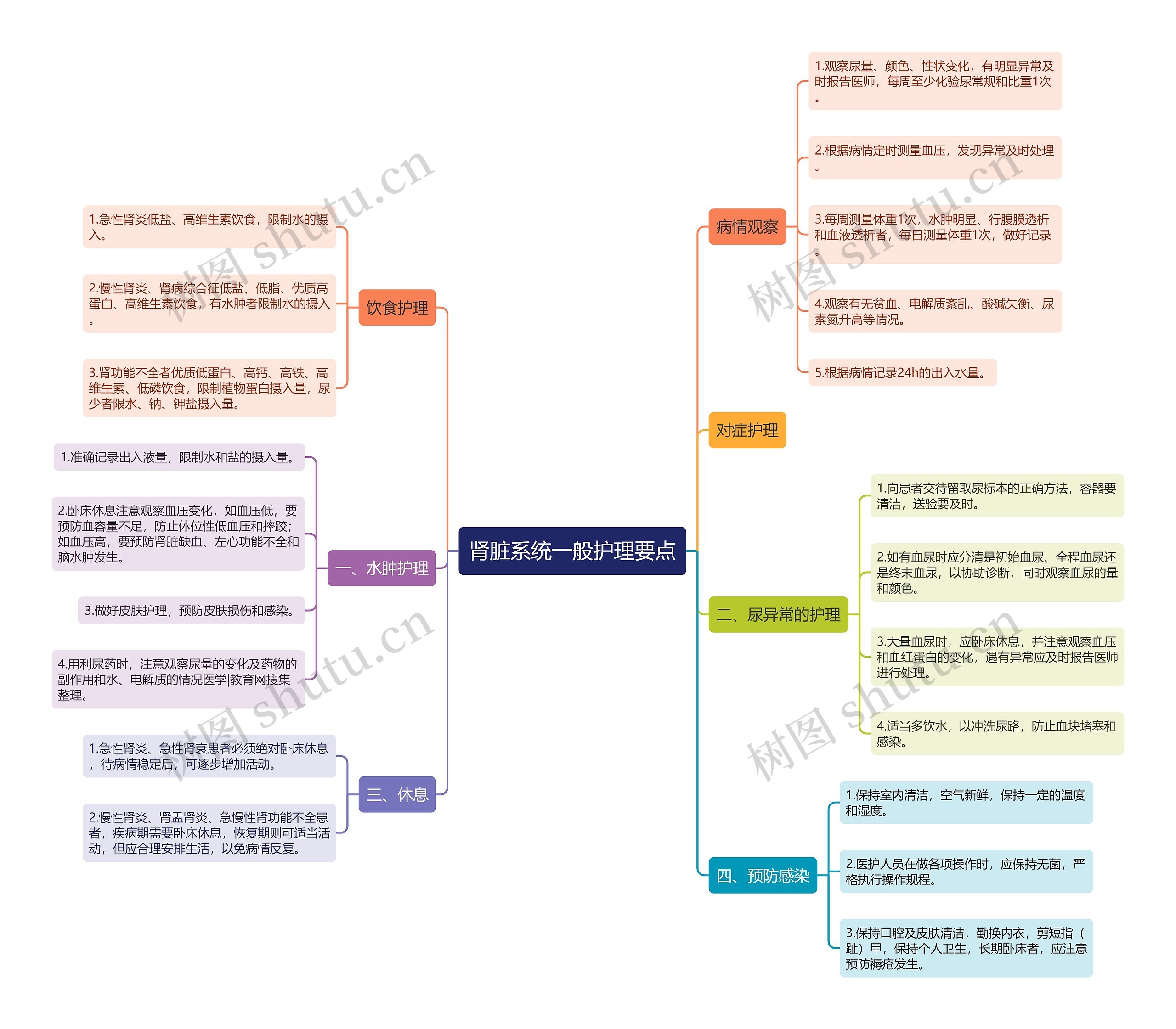 肾脏系统一般护理要点思维导图