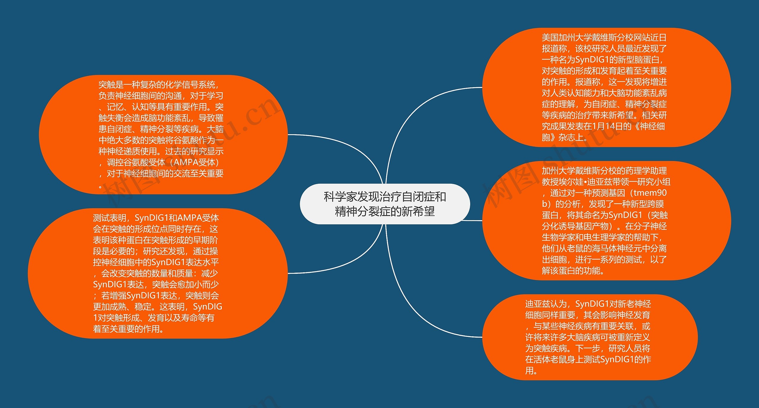 科学家发现治疗自闭症和精神分裂症的新希望