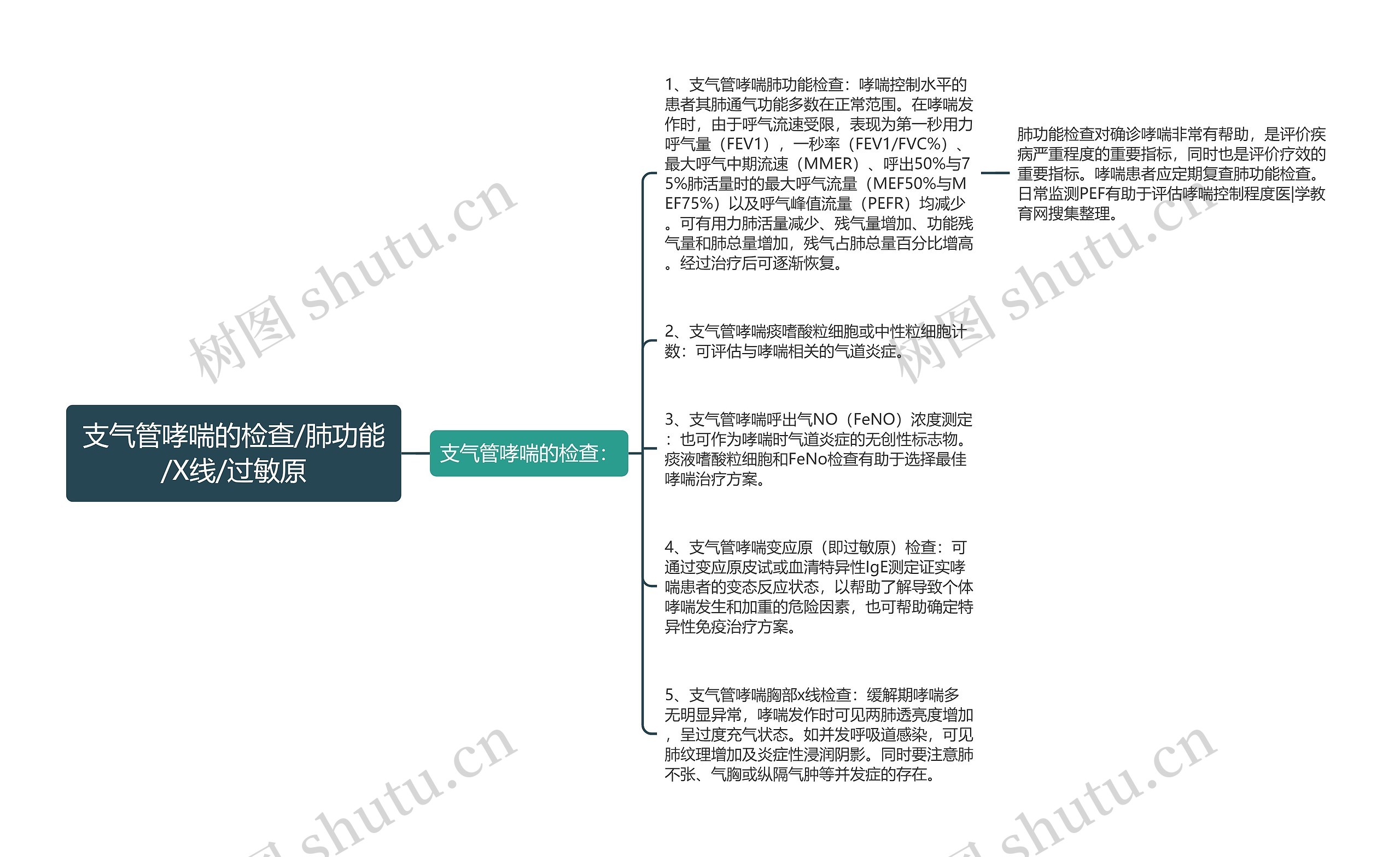 支气管哮喘的检查/肺功能/X线/过敏原 支气管哮喘的检查/肺功能/X线/过敏原