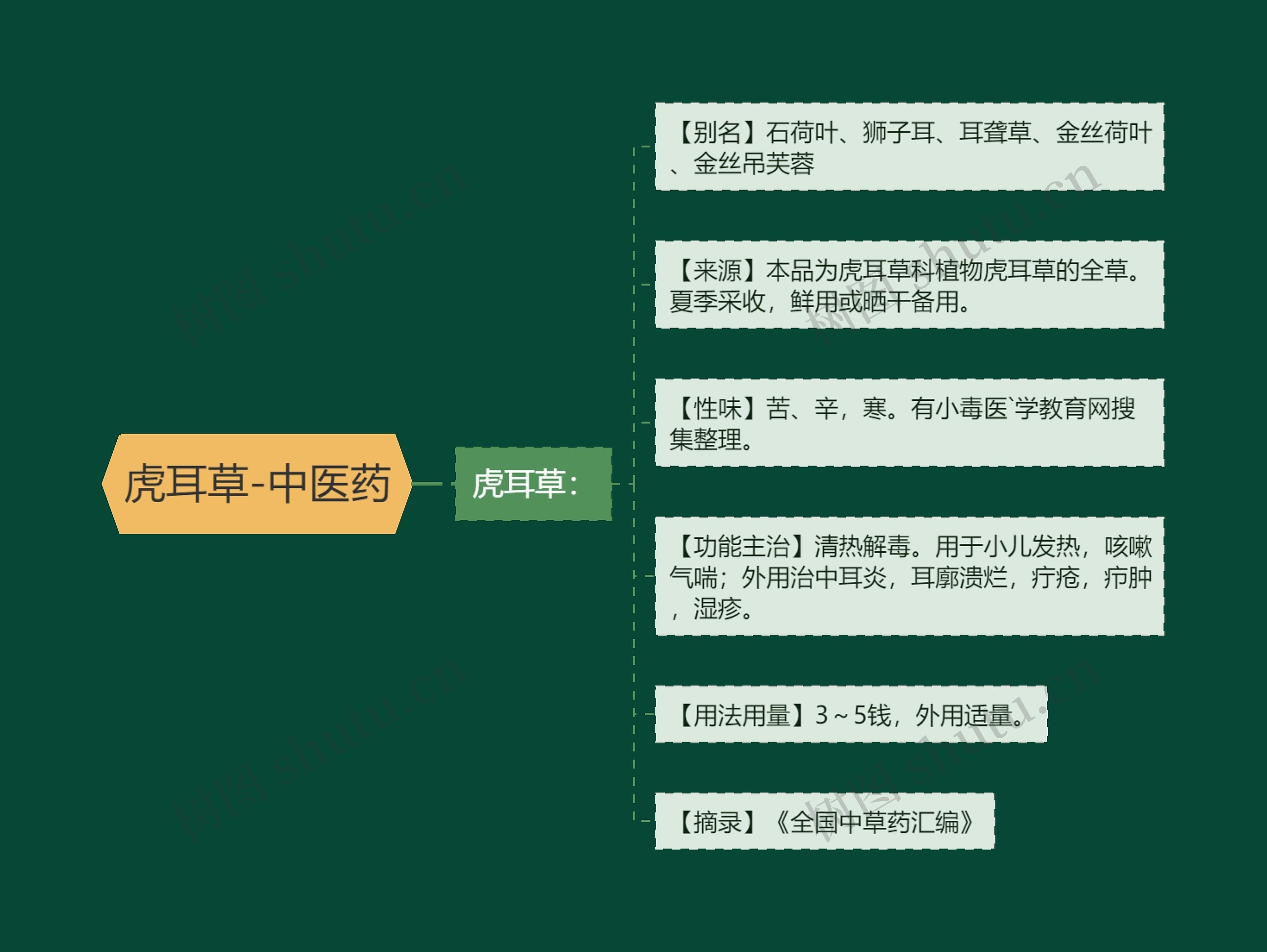 虎耳草-中医药 虎耳草-中医药