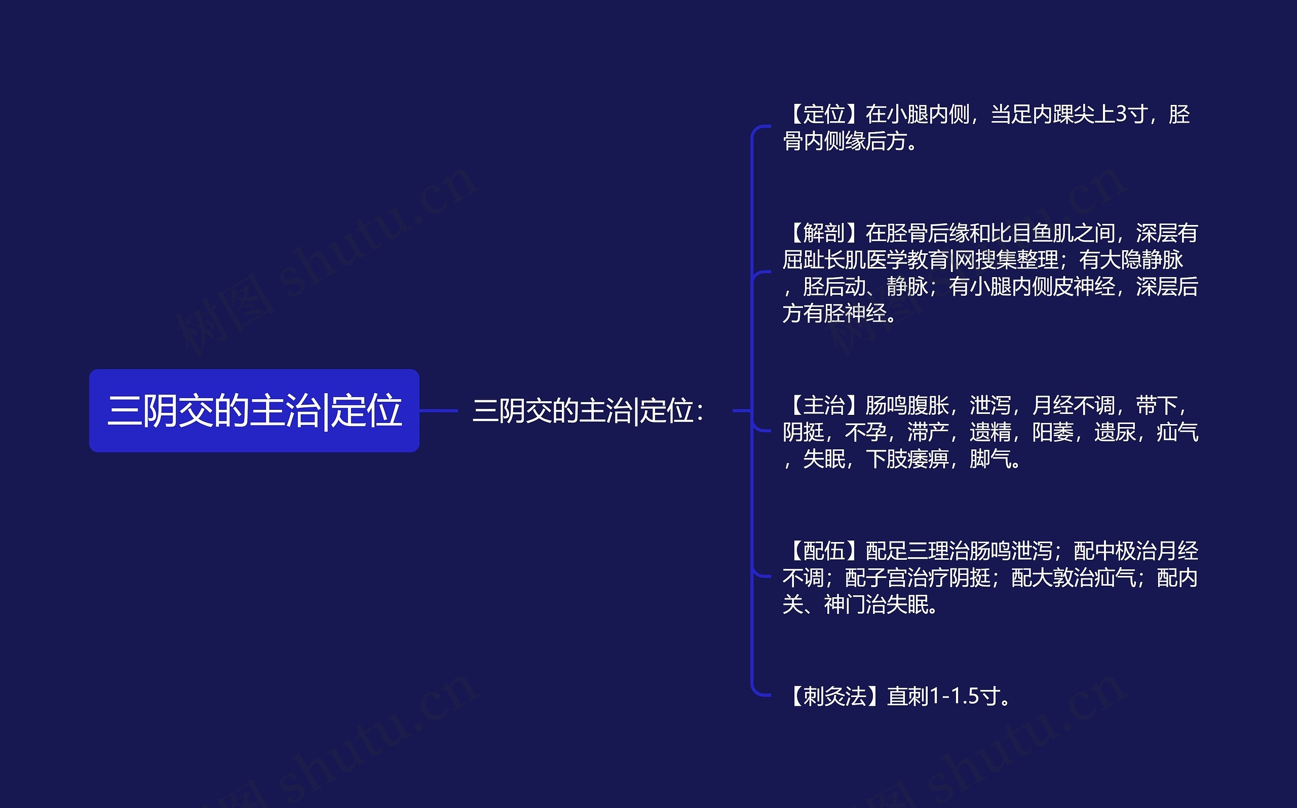 三阴交的主治|定位思维导图