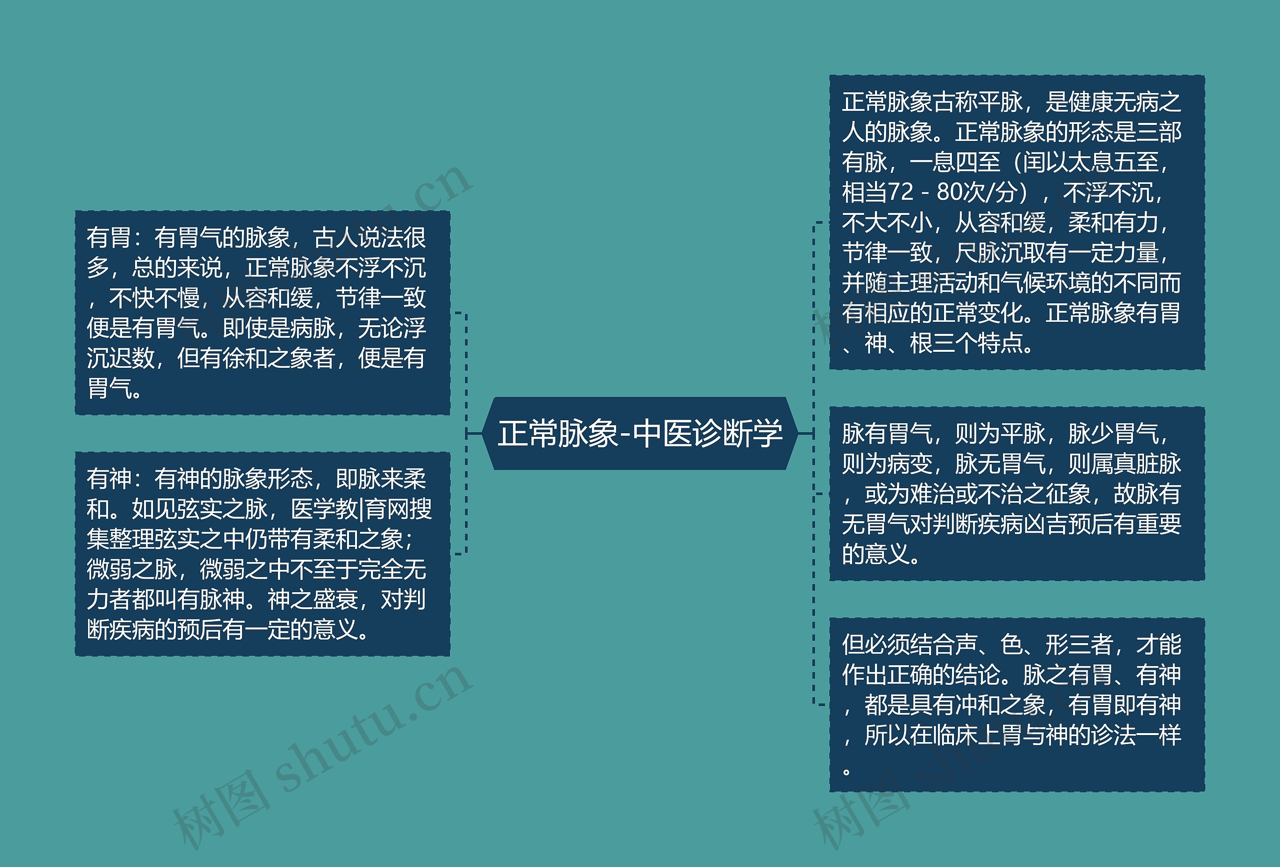 正常脉象-中医诊断学