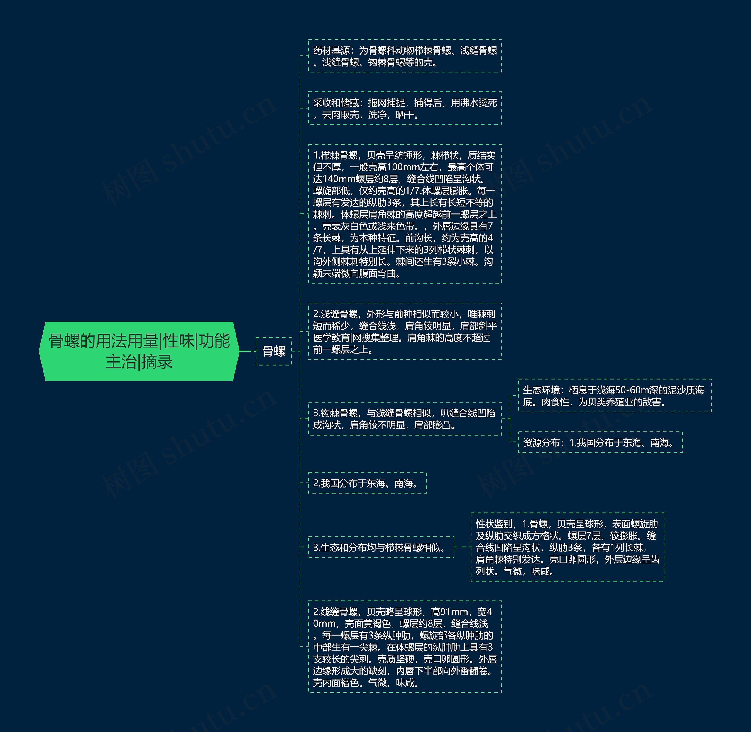 骨螺的用法用量|性味|功能主治|摘录思维导图