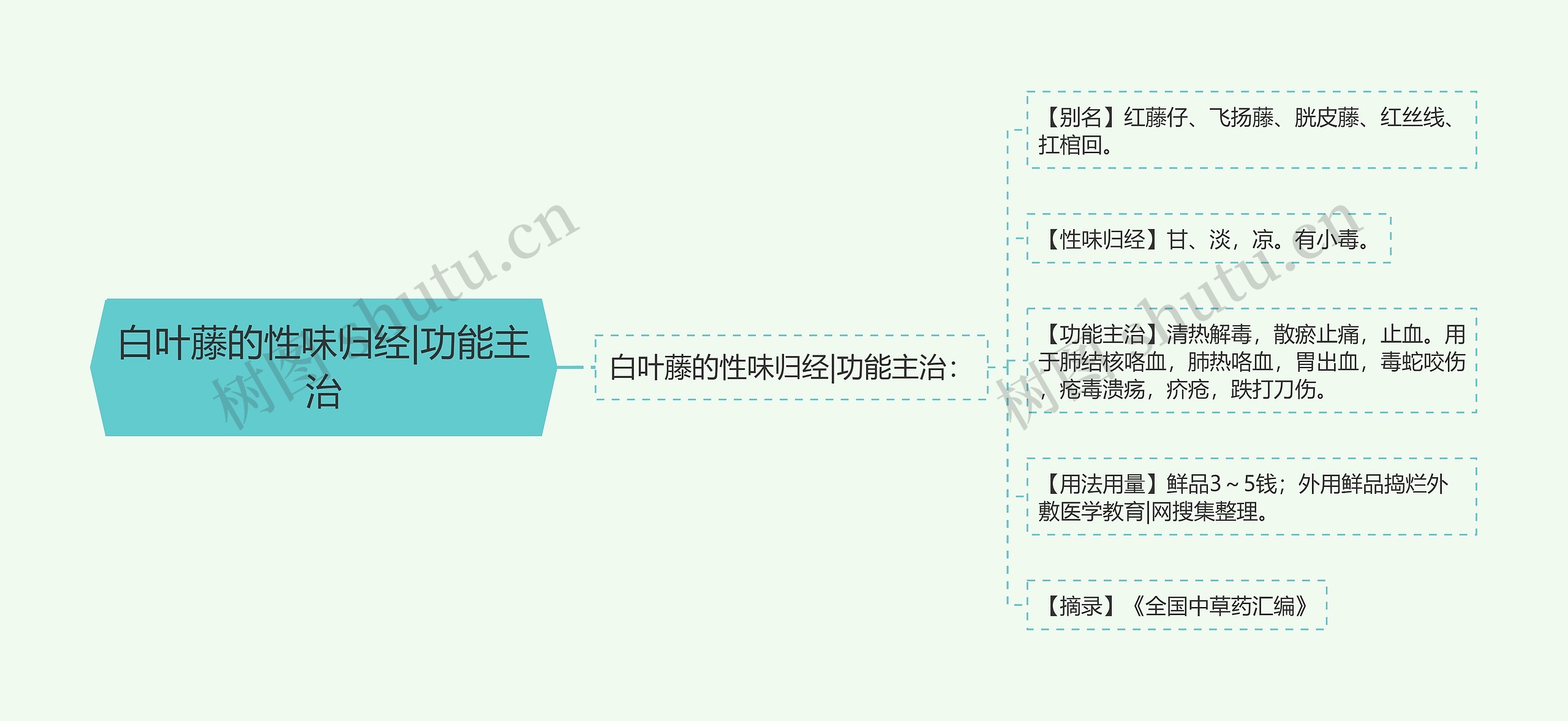 白叶藤的性味归经|功能主治思维导图