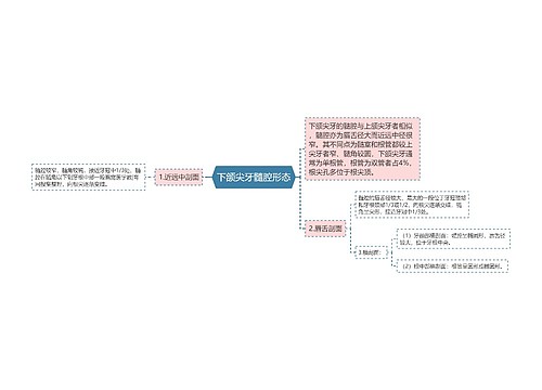 下颌尖牙髓腔形态