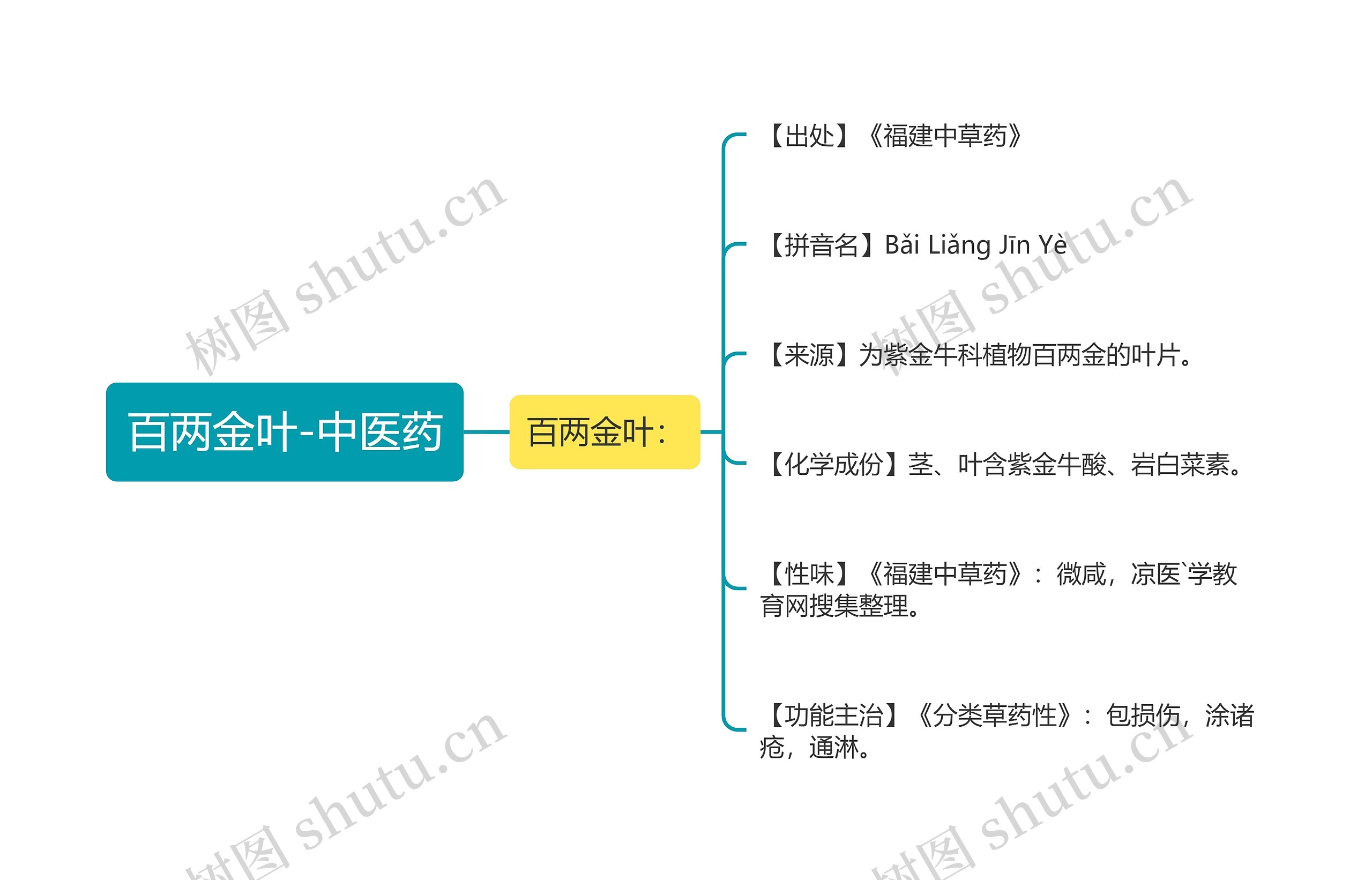 百两金叶-中医药 百两金叶-中医药