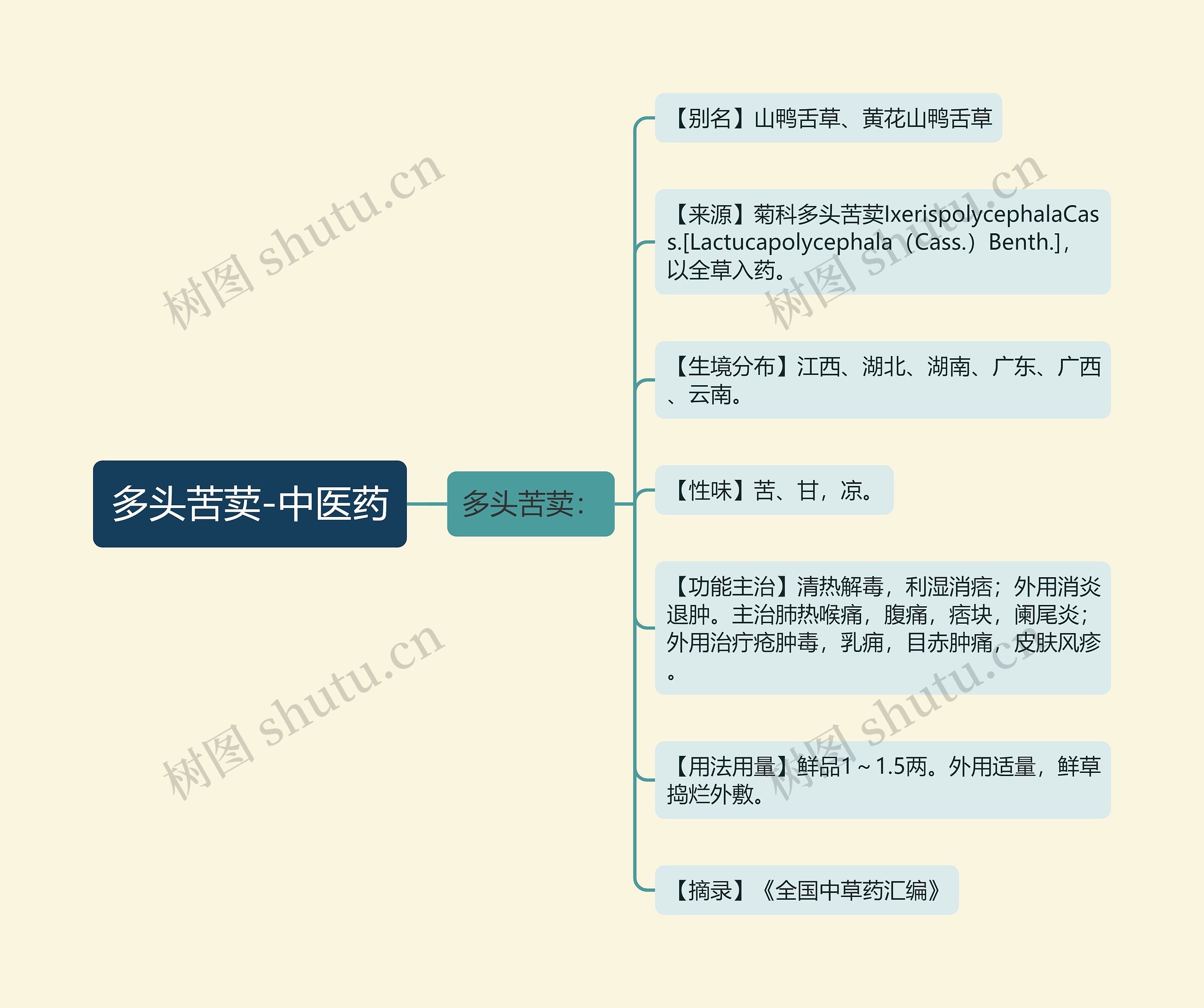 多头苦荬-中医药思维导图