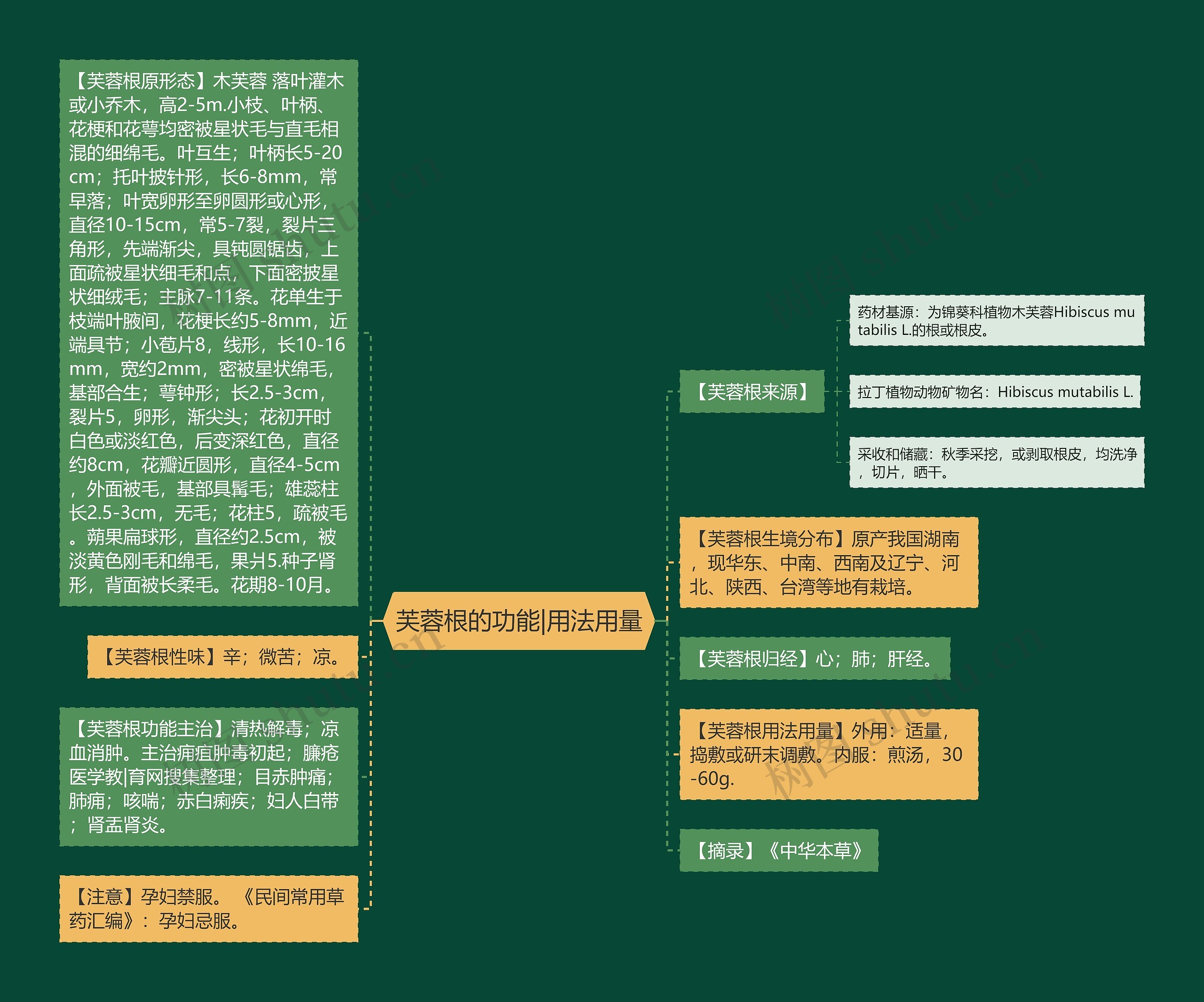 芙蓉根的功能|用法用量思维导图