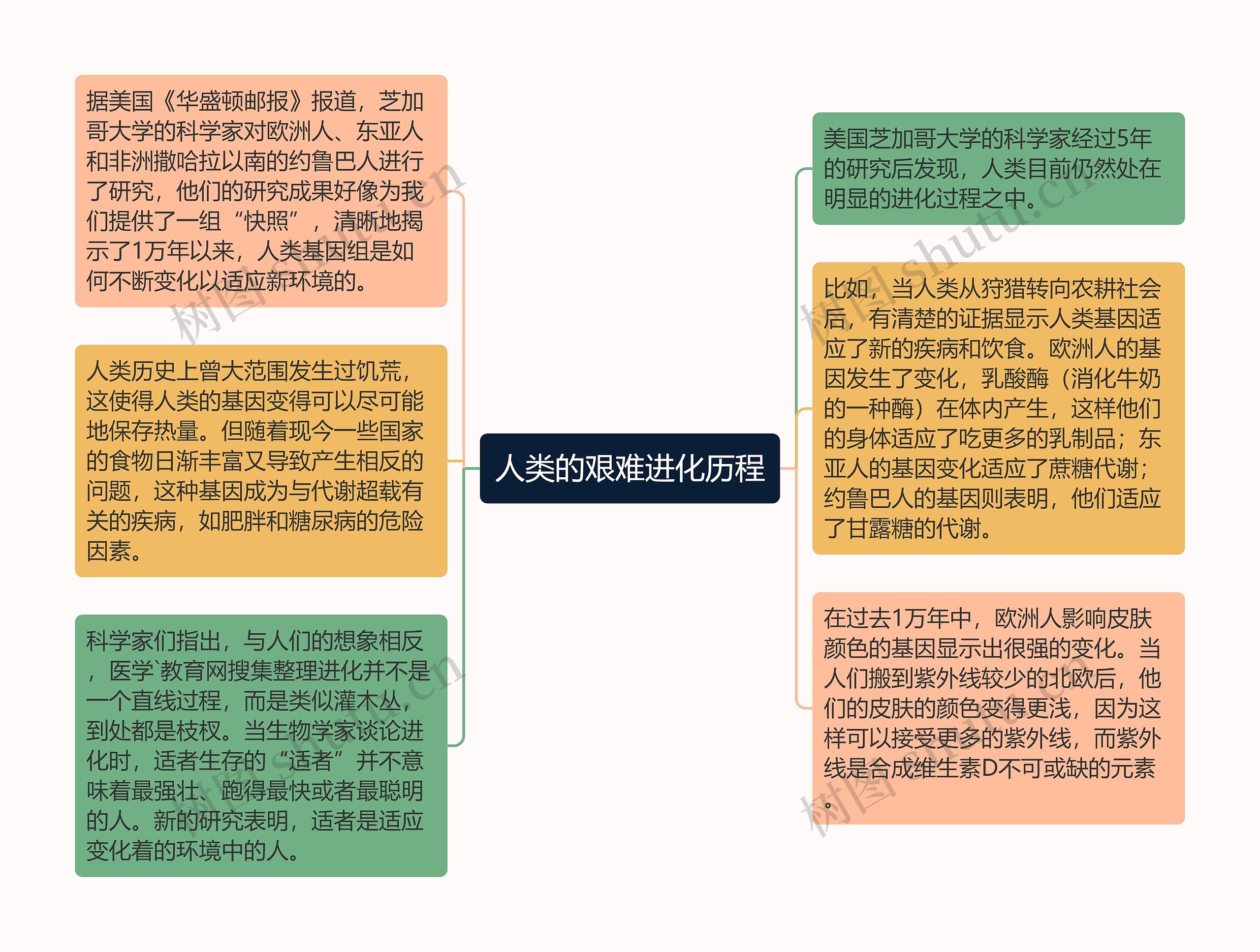 人类的艰难进化历程思维导图